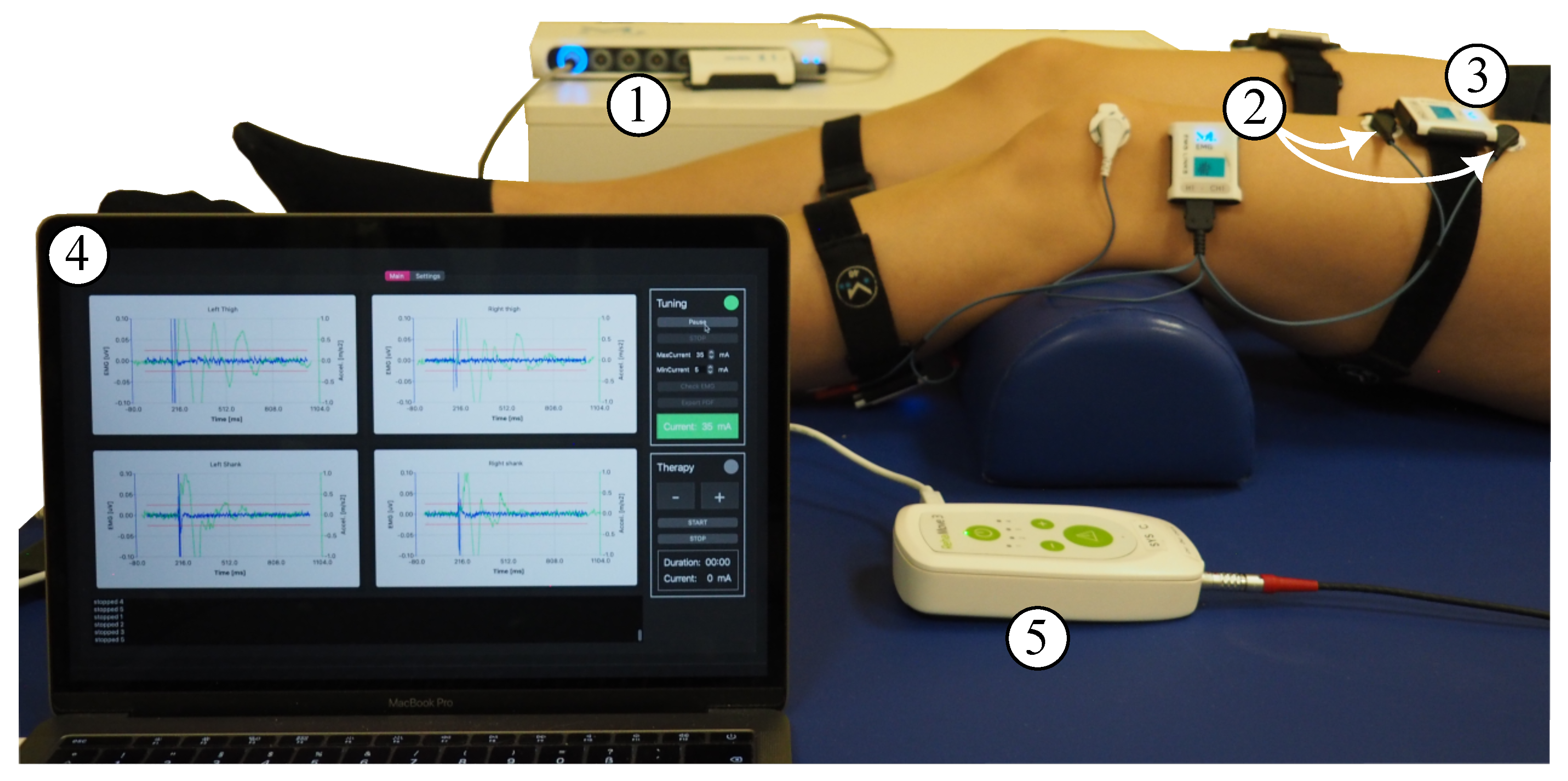 Sensors 24 00634 g002