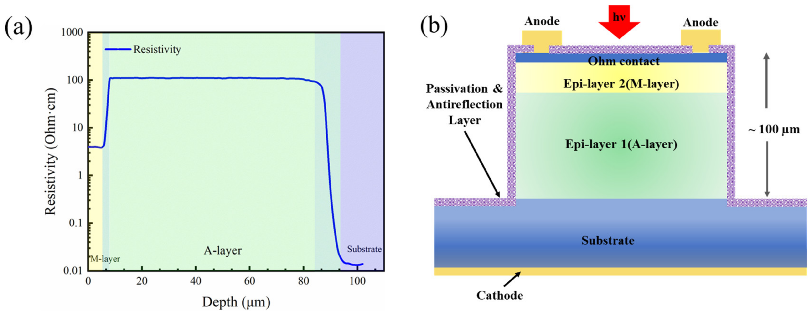 Sensors 24 00640 g001