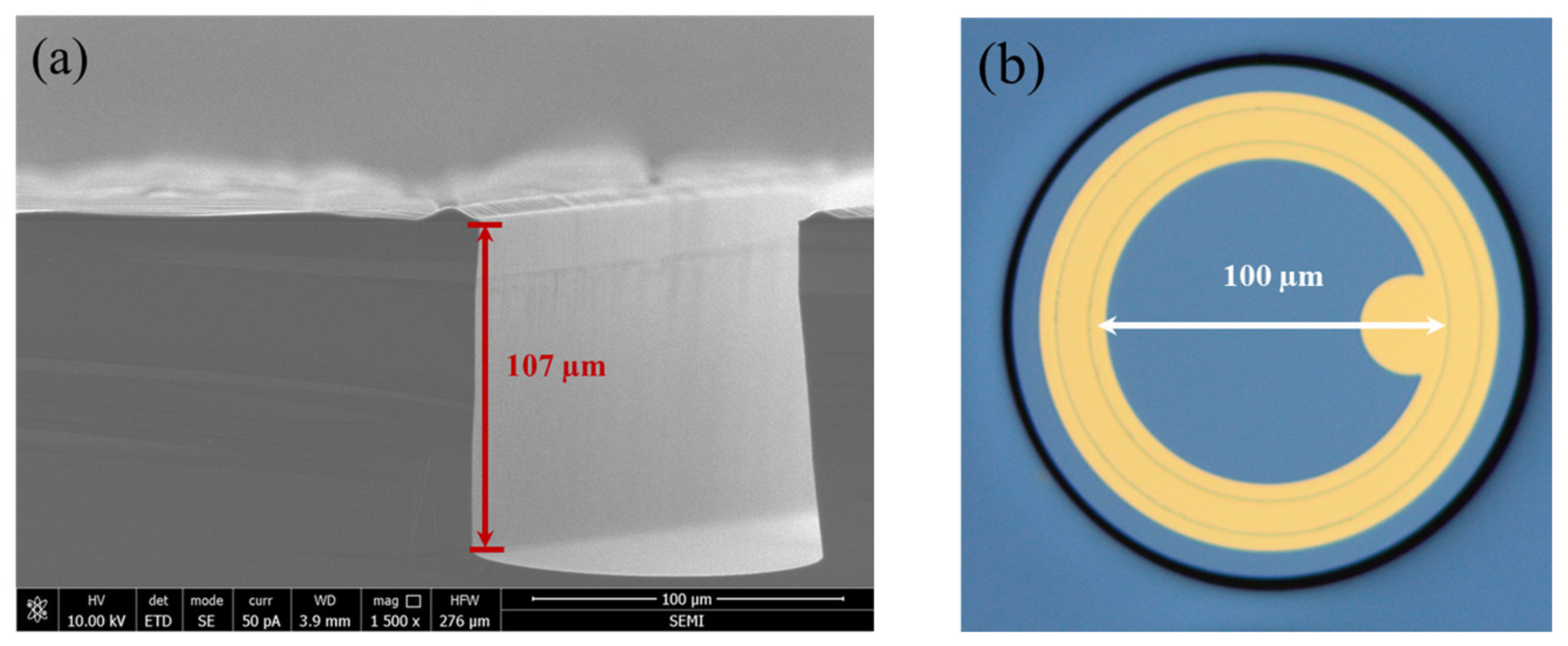 Sensors 24 00640 g003