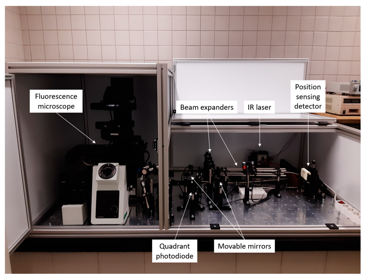 Sensors 24 00643 g001 Sensors 24 00643 g001