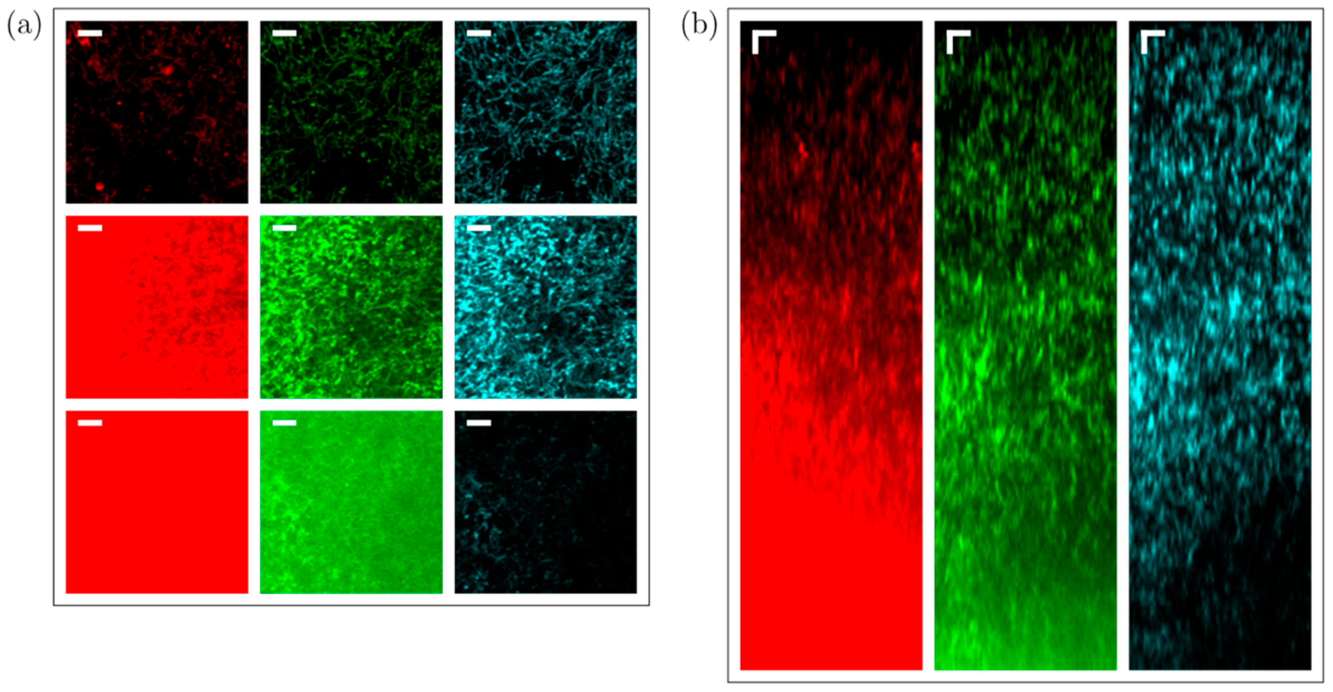 Sensors 24 00667 g009