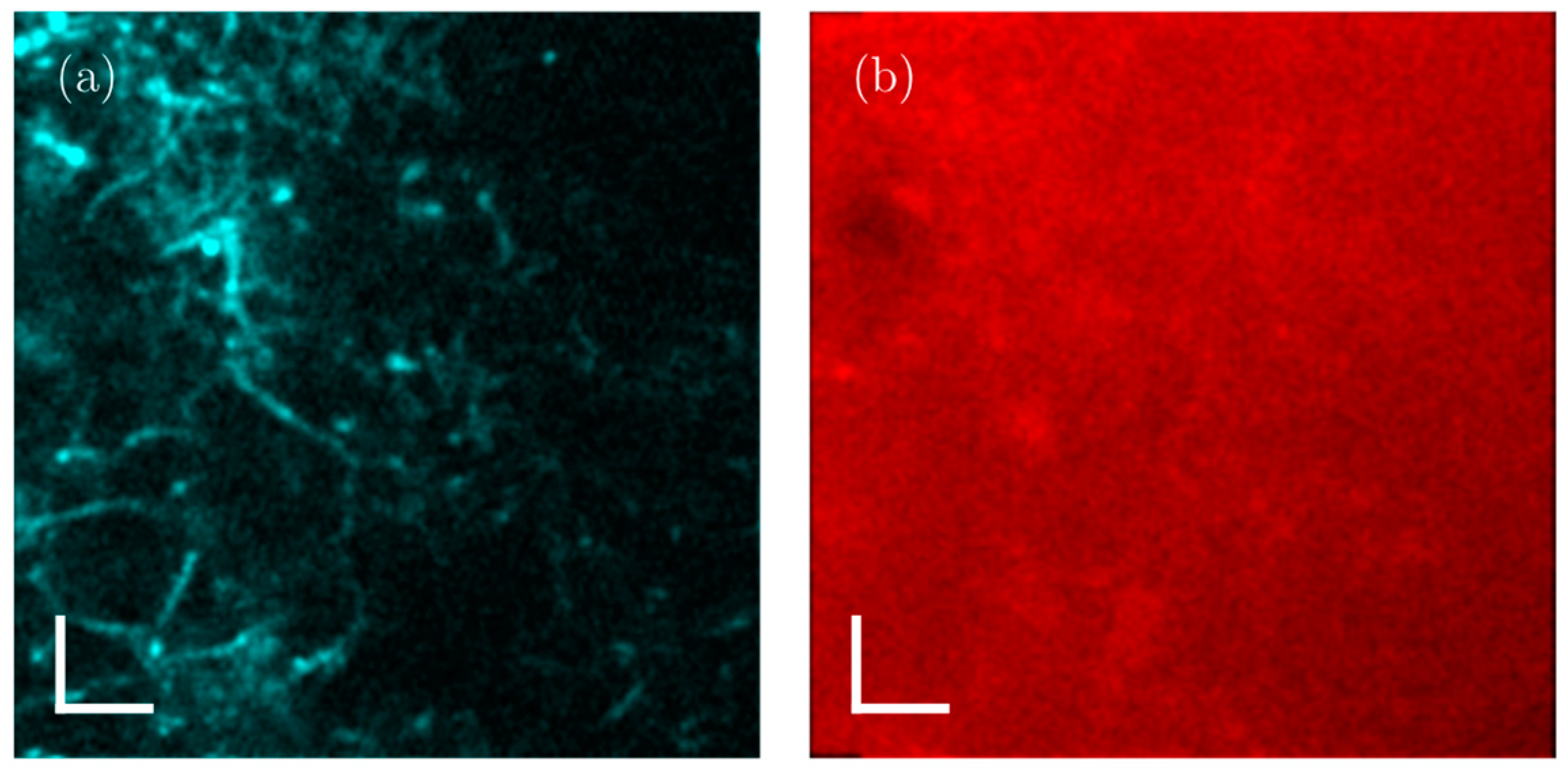 Sensors 24 00667 g011