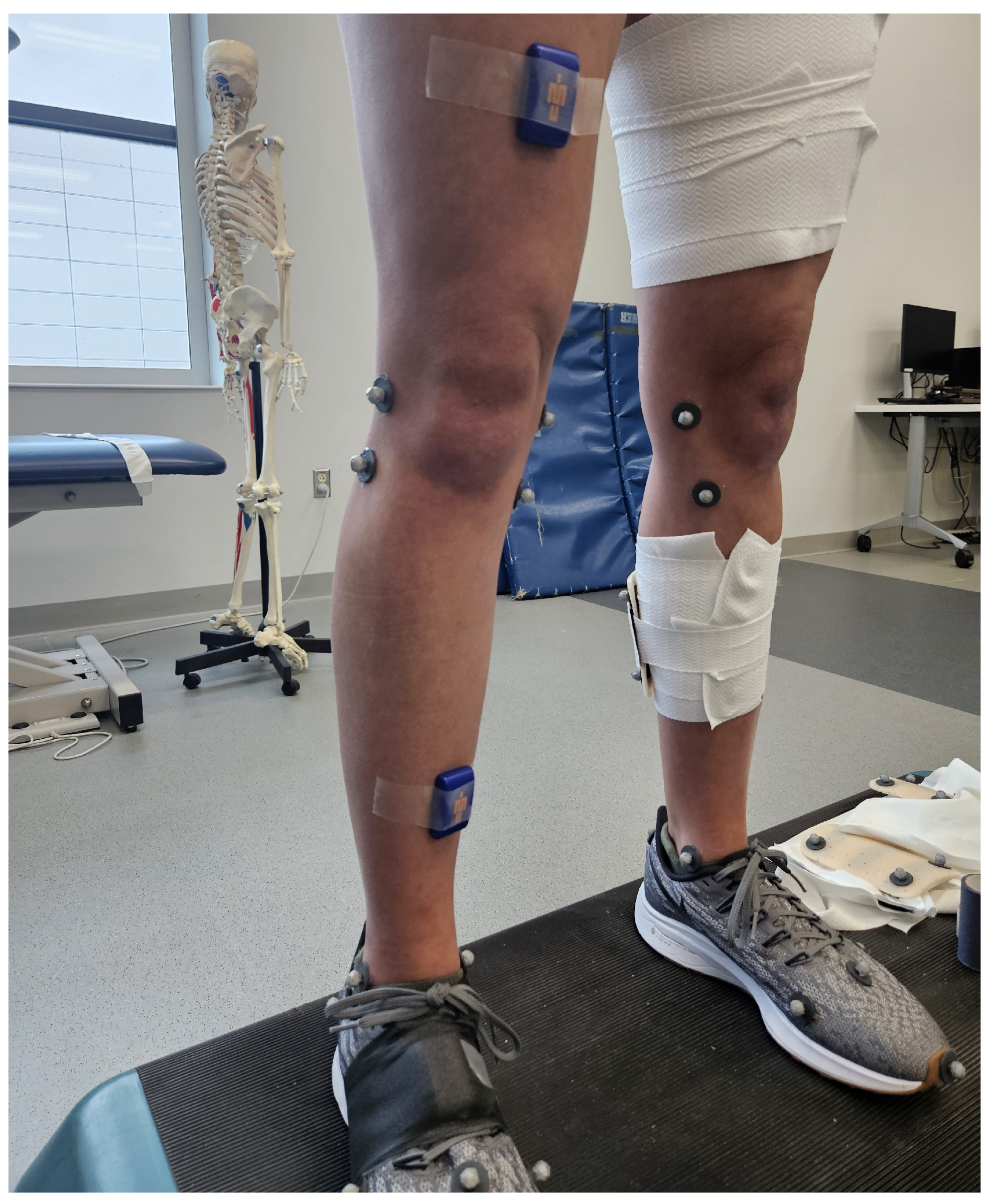 Sensors 24 00695 g001