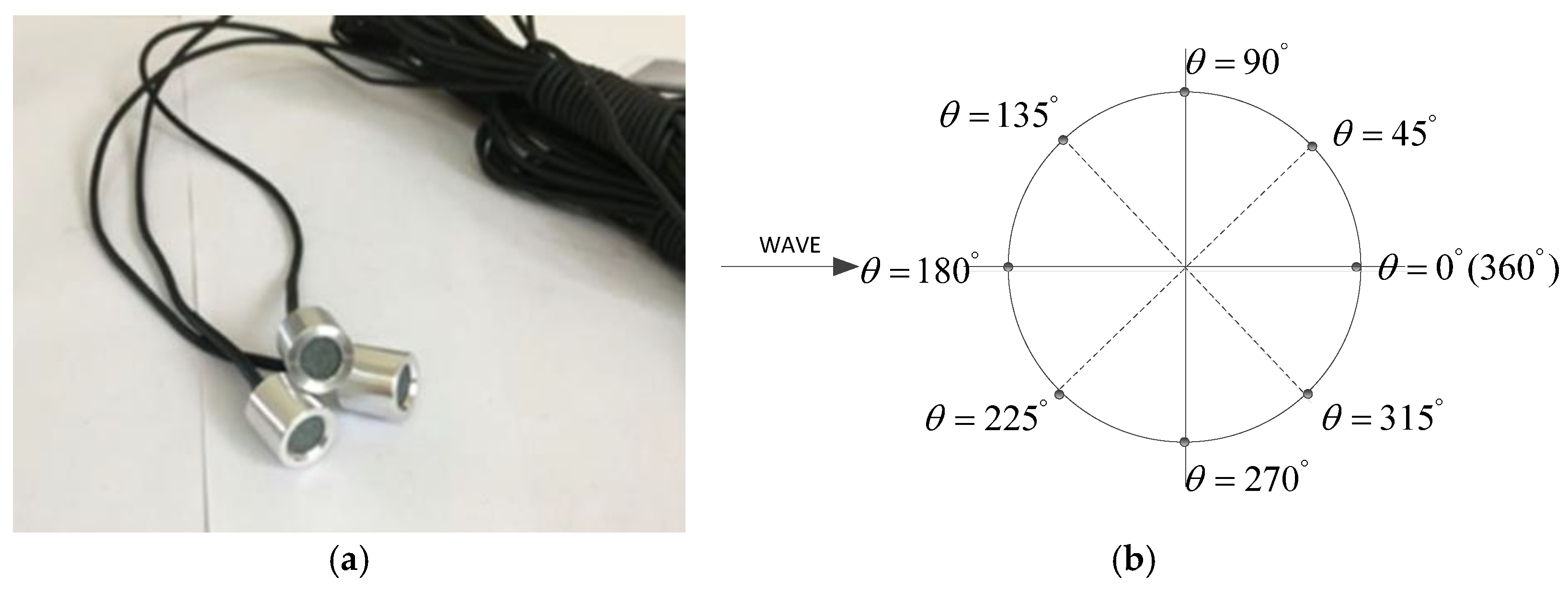 Sensors 24 00704 g003 Sensors 24 00704 g003