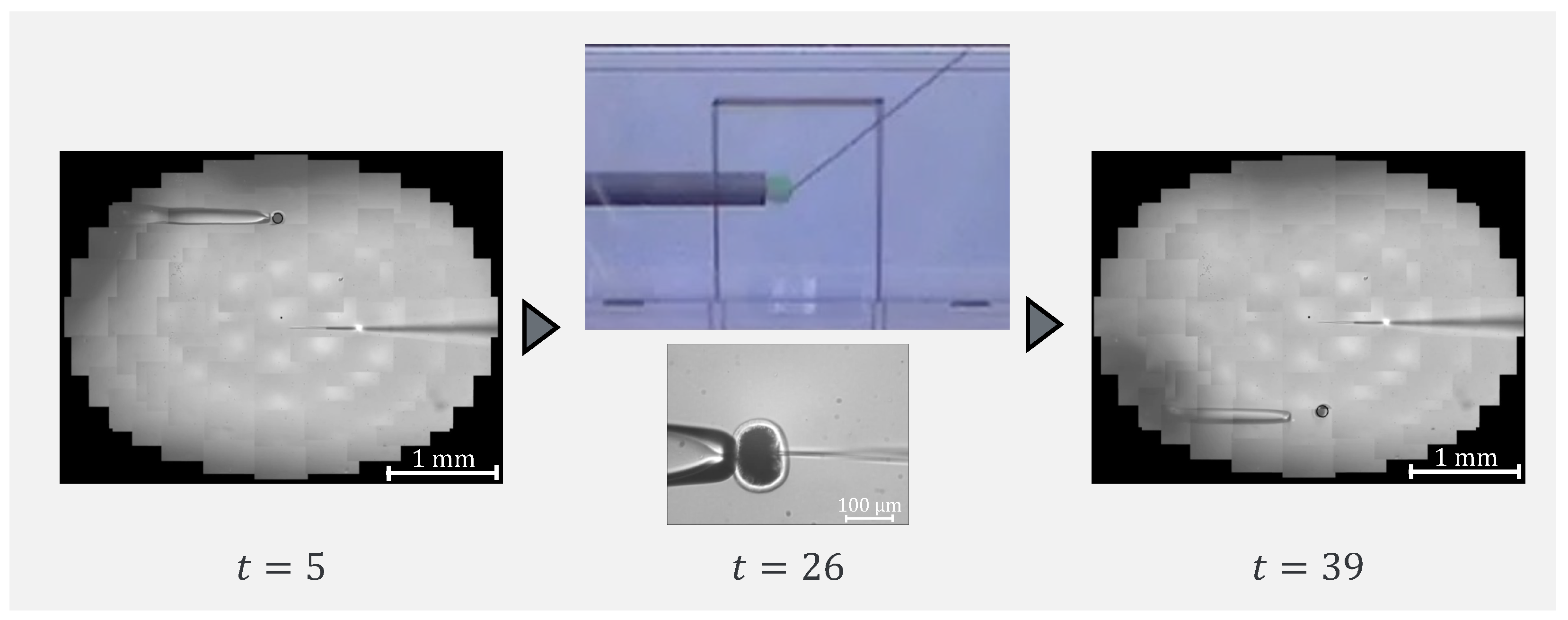 Sensors 24 00711 g019