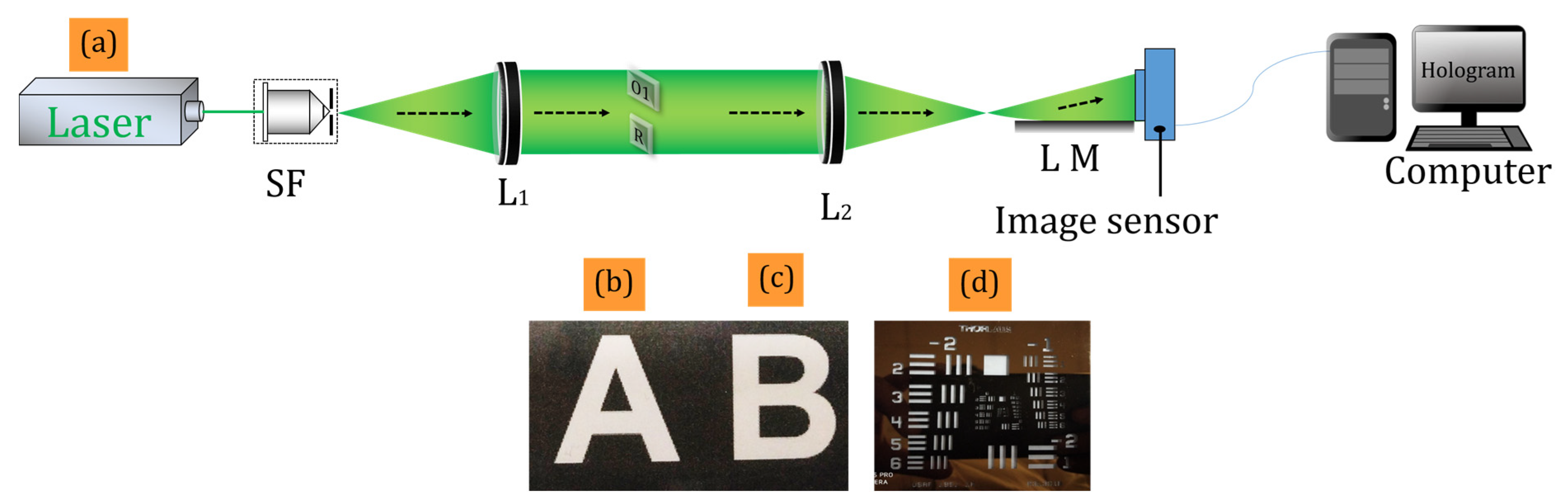 Sensors 24 00731 g002