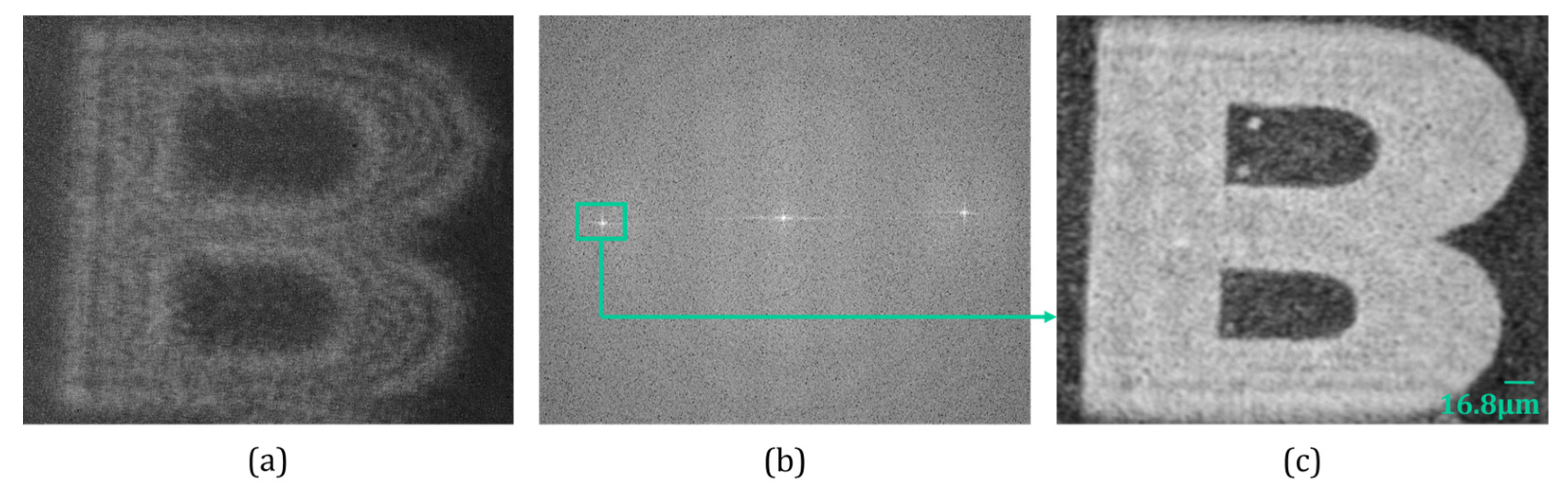 Sensors 24 00731 g004
