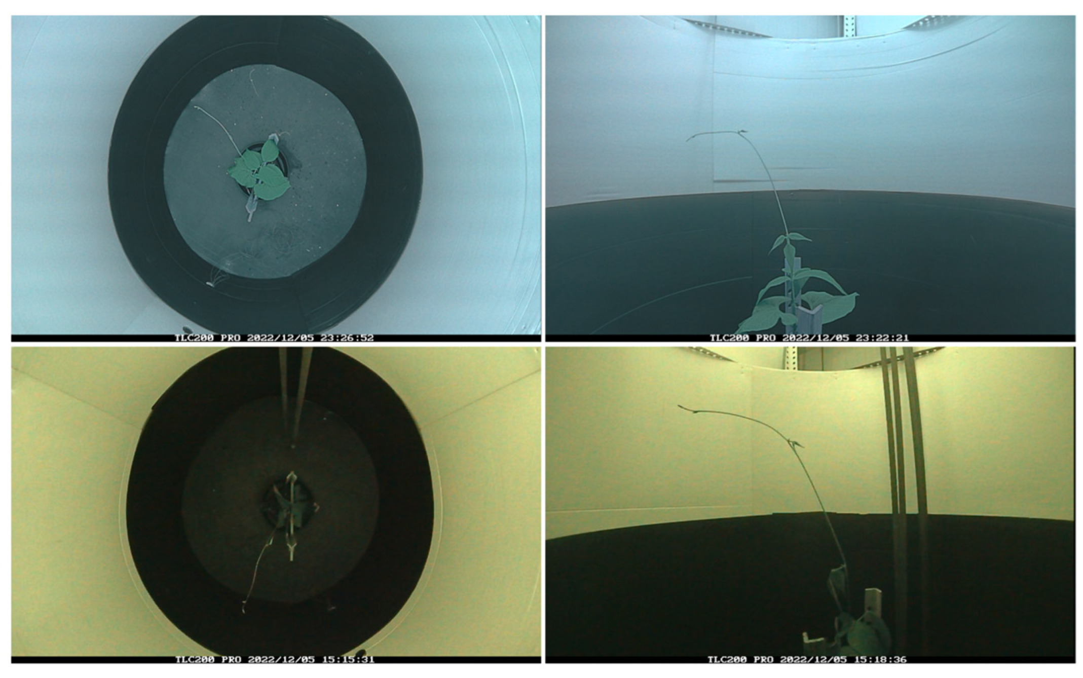 Sensors 24 00747 g002