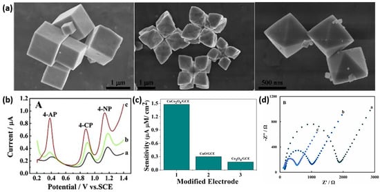 Sensors 24 00756 g001