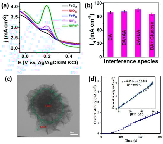 Sensors 24 00756 g007