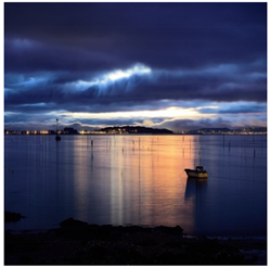 Sensors 24 00772 i004