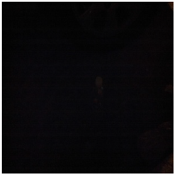 Sensors 24 00772 i006