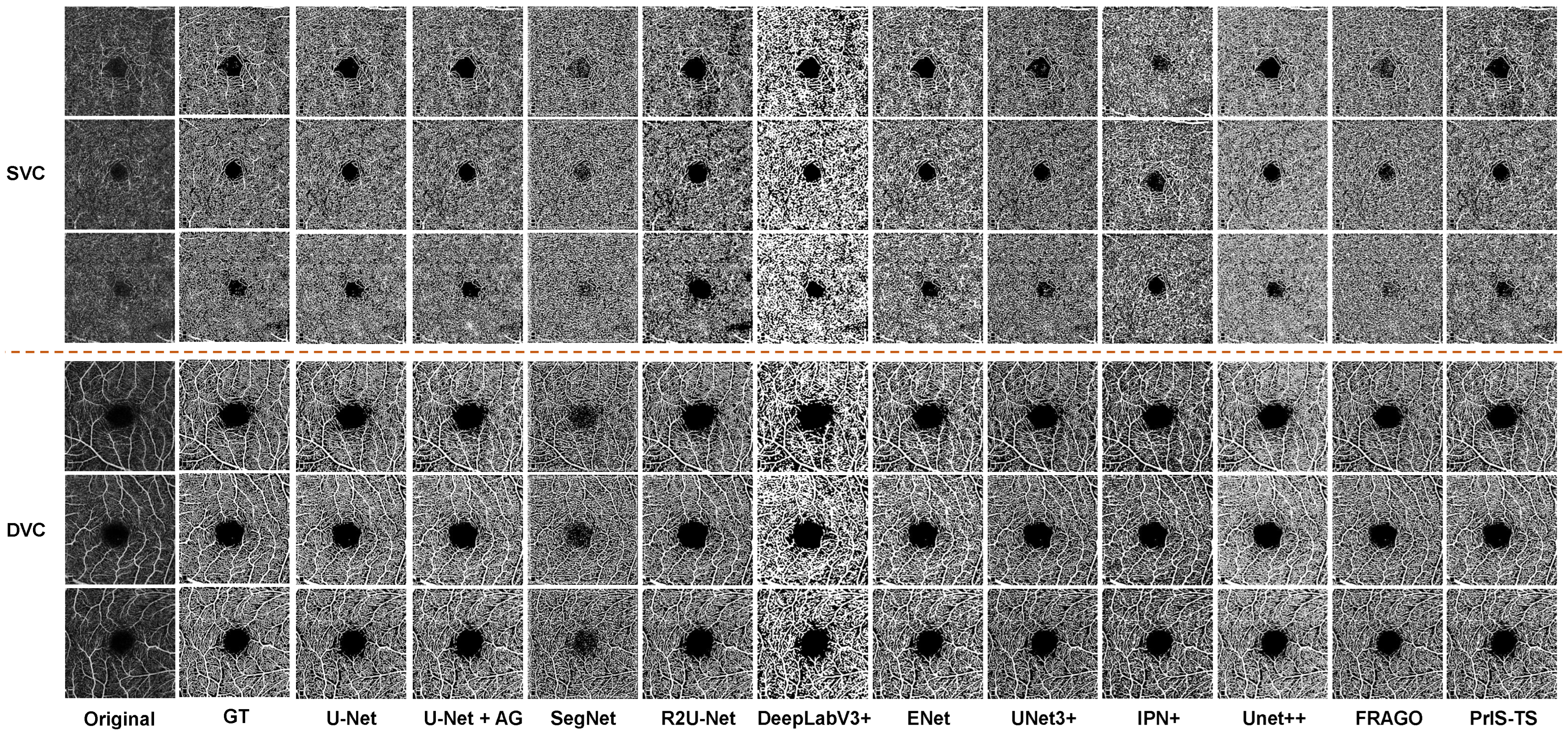 Sensors 24 00774 g005