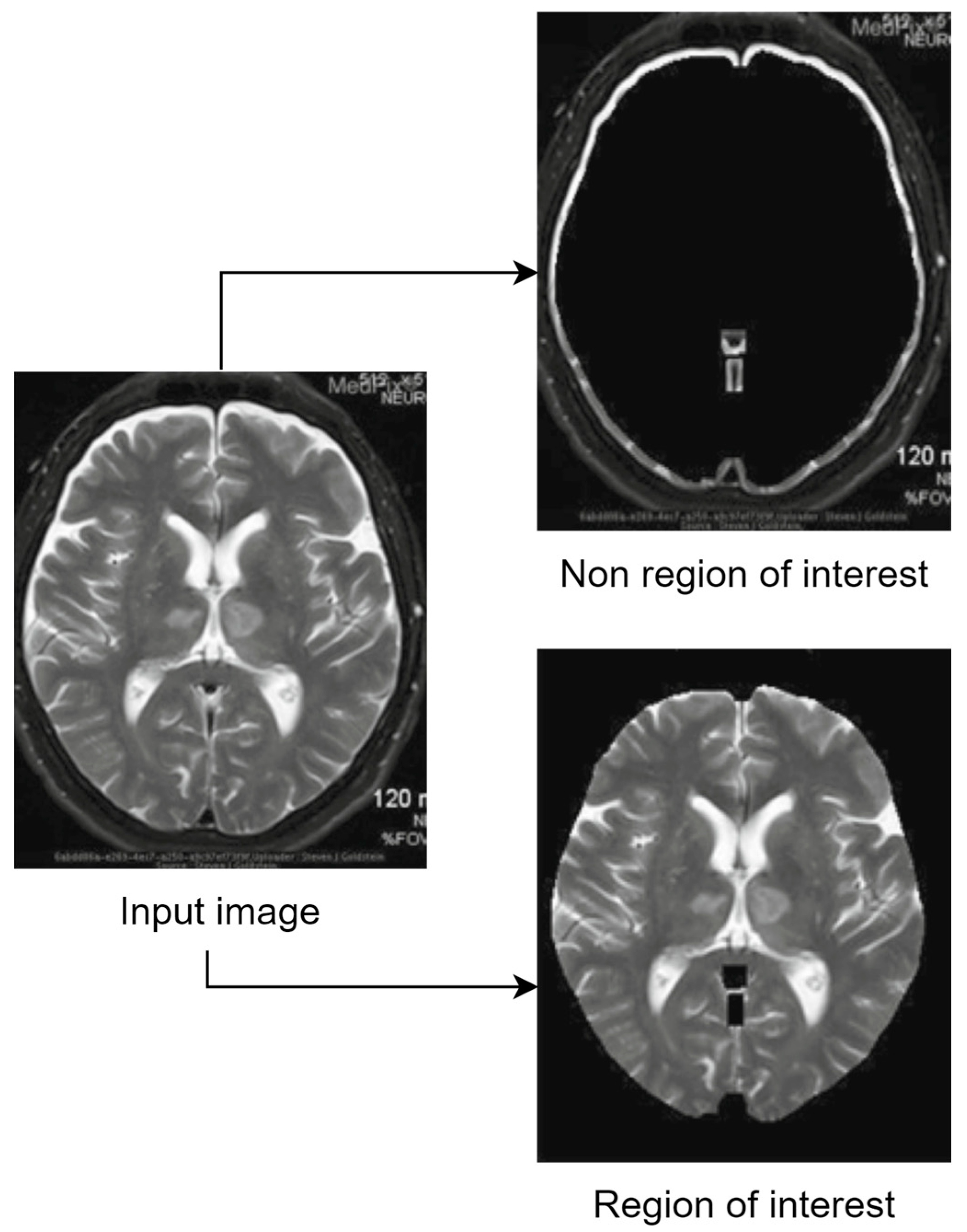 Sensors 24 00791 g003