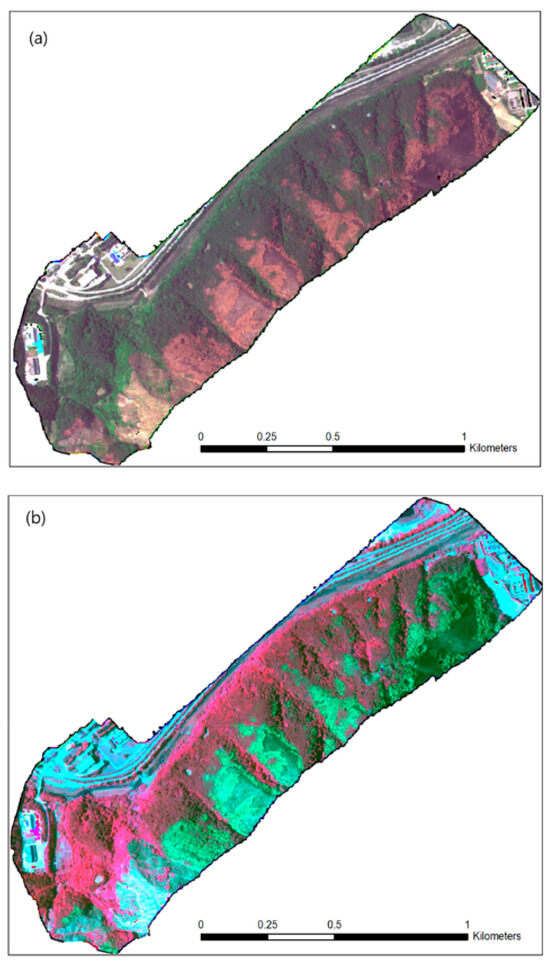 Sensors 24 00798 g008