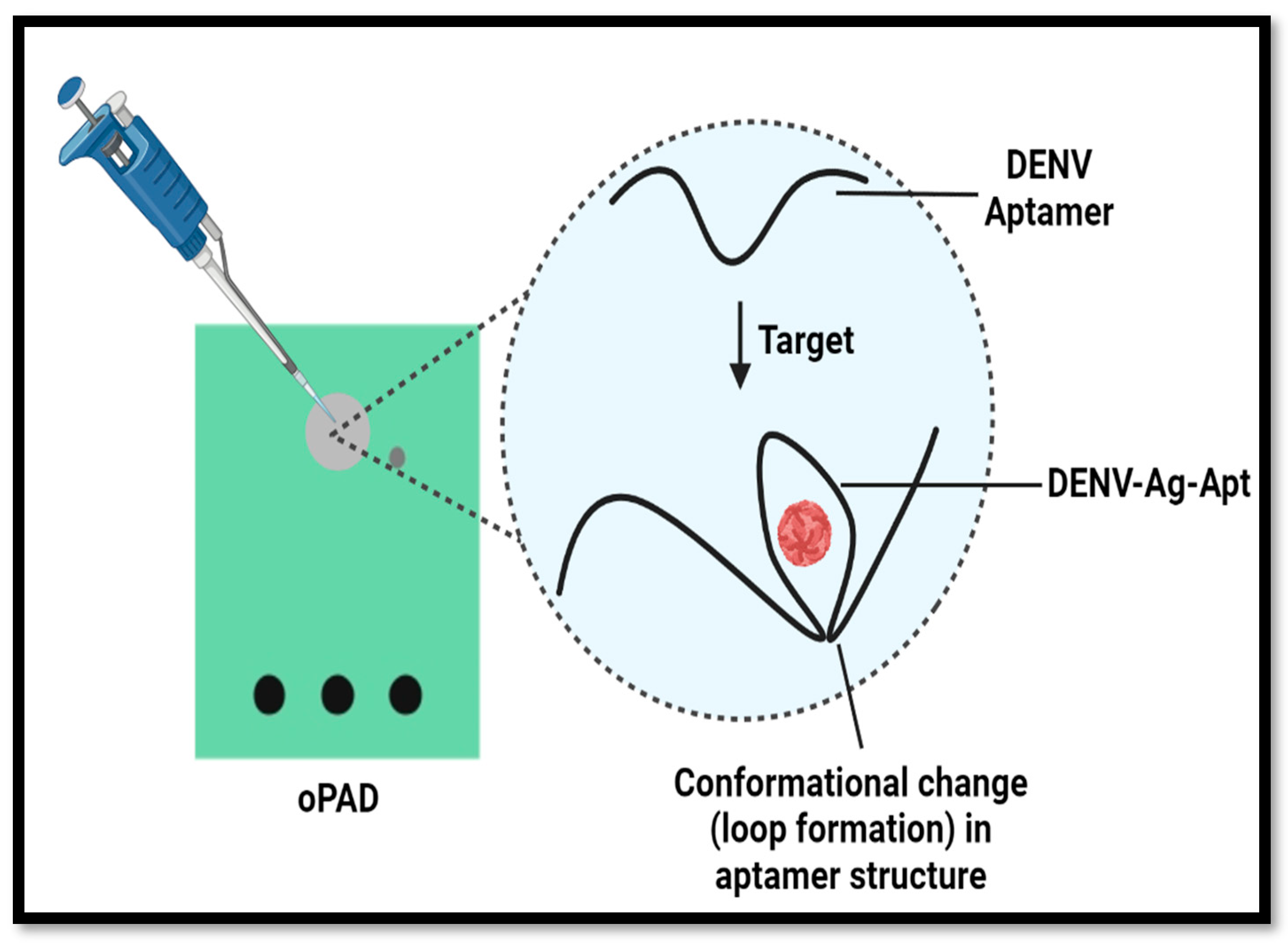 Sensors 24 00801 g002