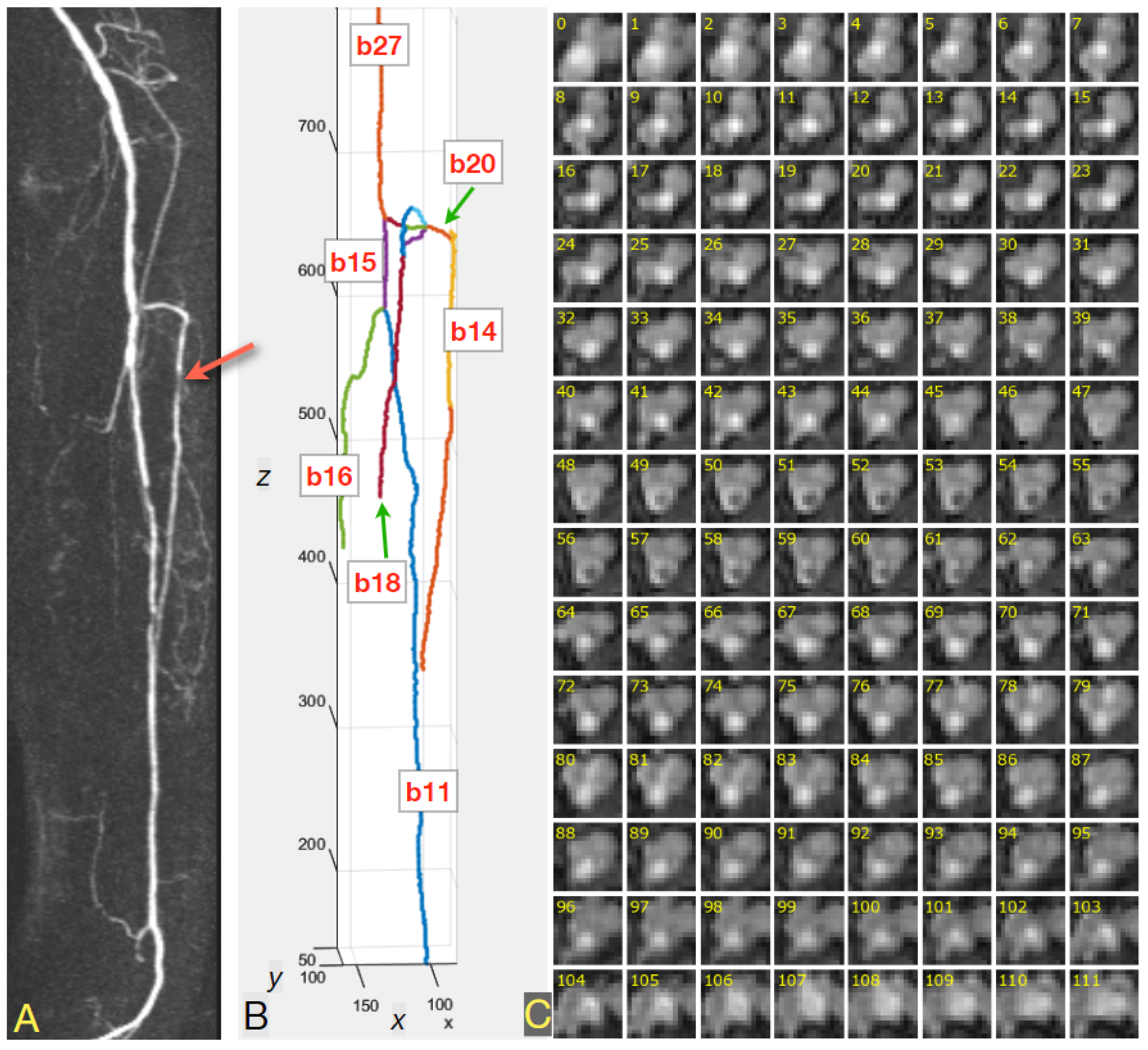 Sensors 24 00846 g003