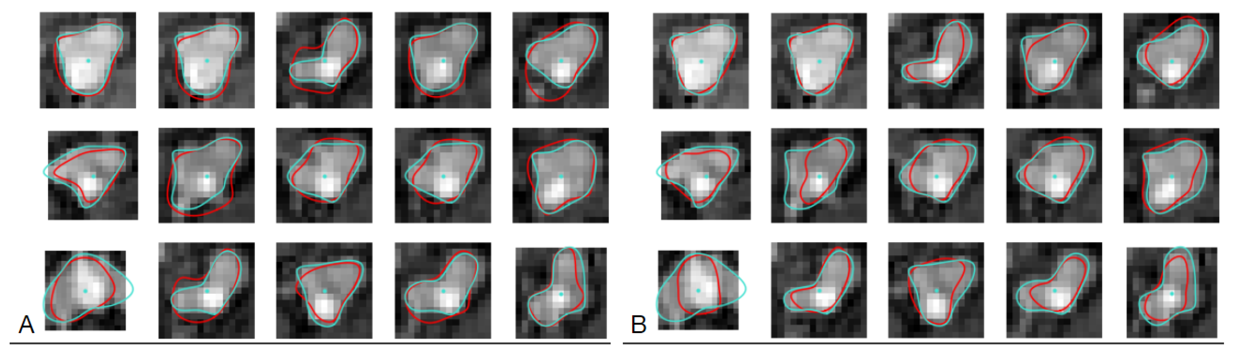 Sensors 24 00846 g013