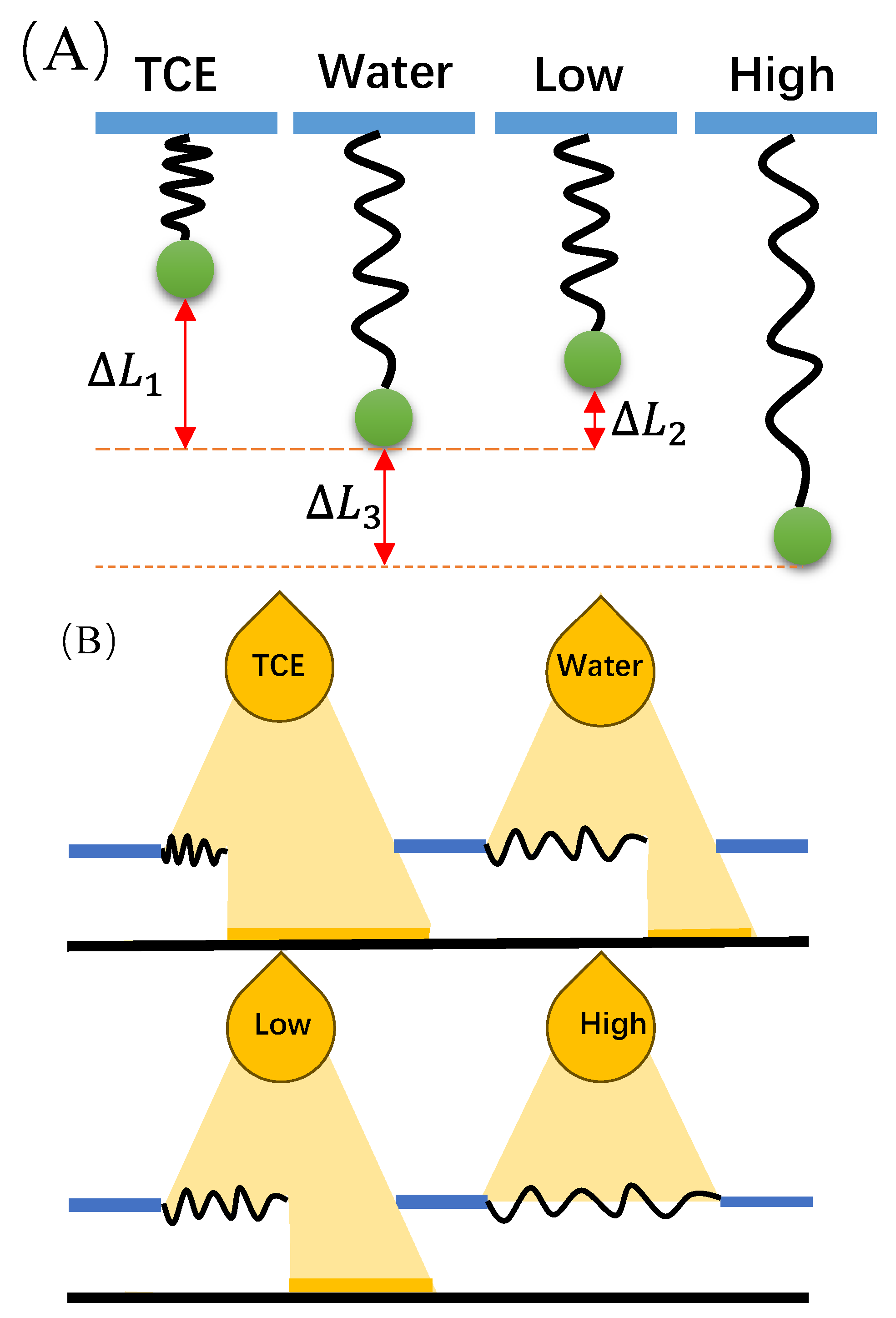 Sensors 24 00883 g006