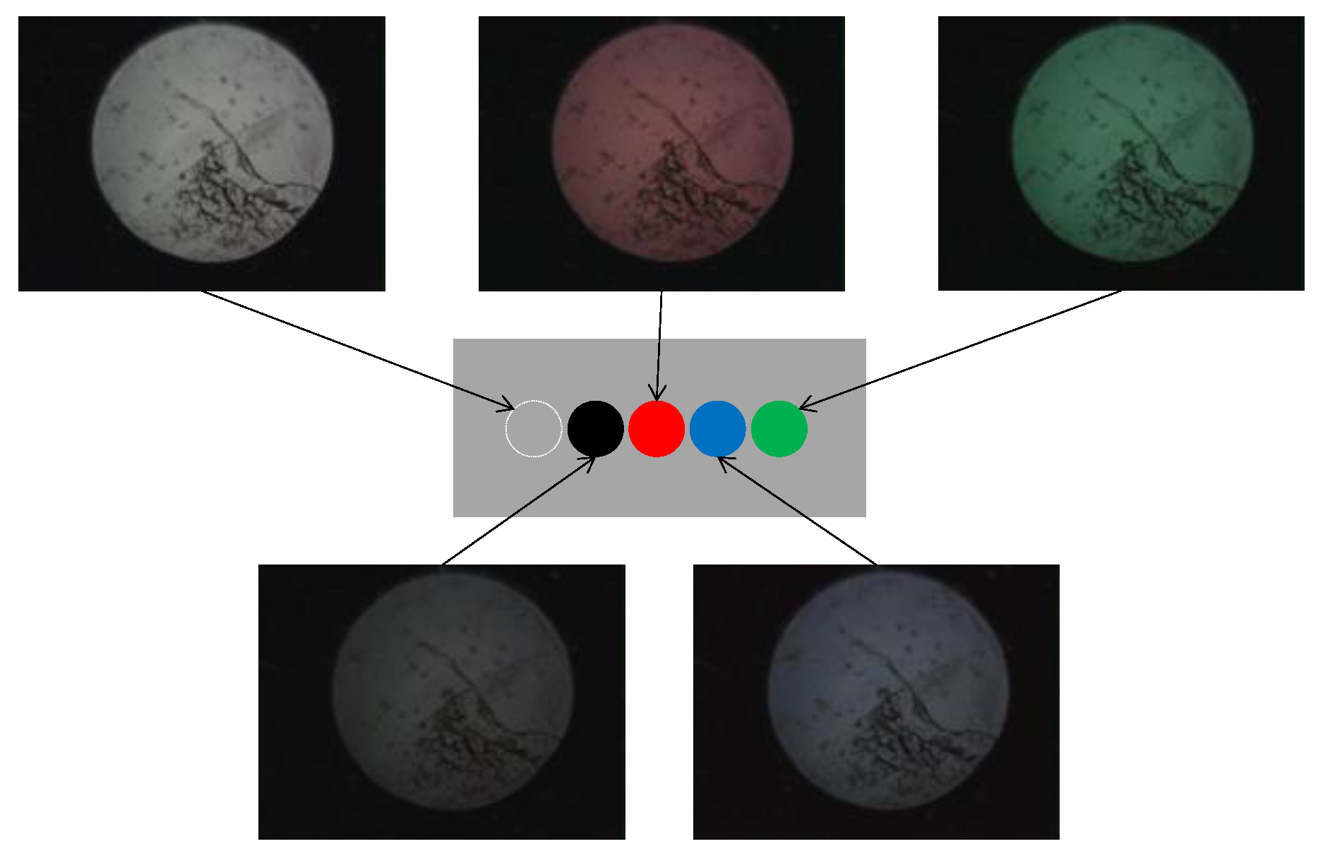 Sensors 24 00885 g006