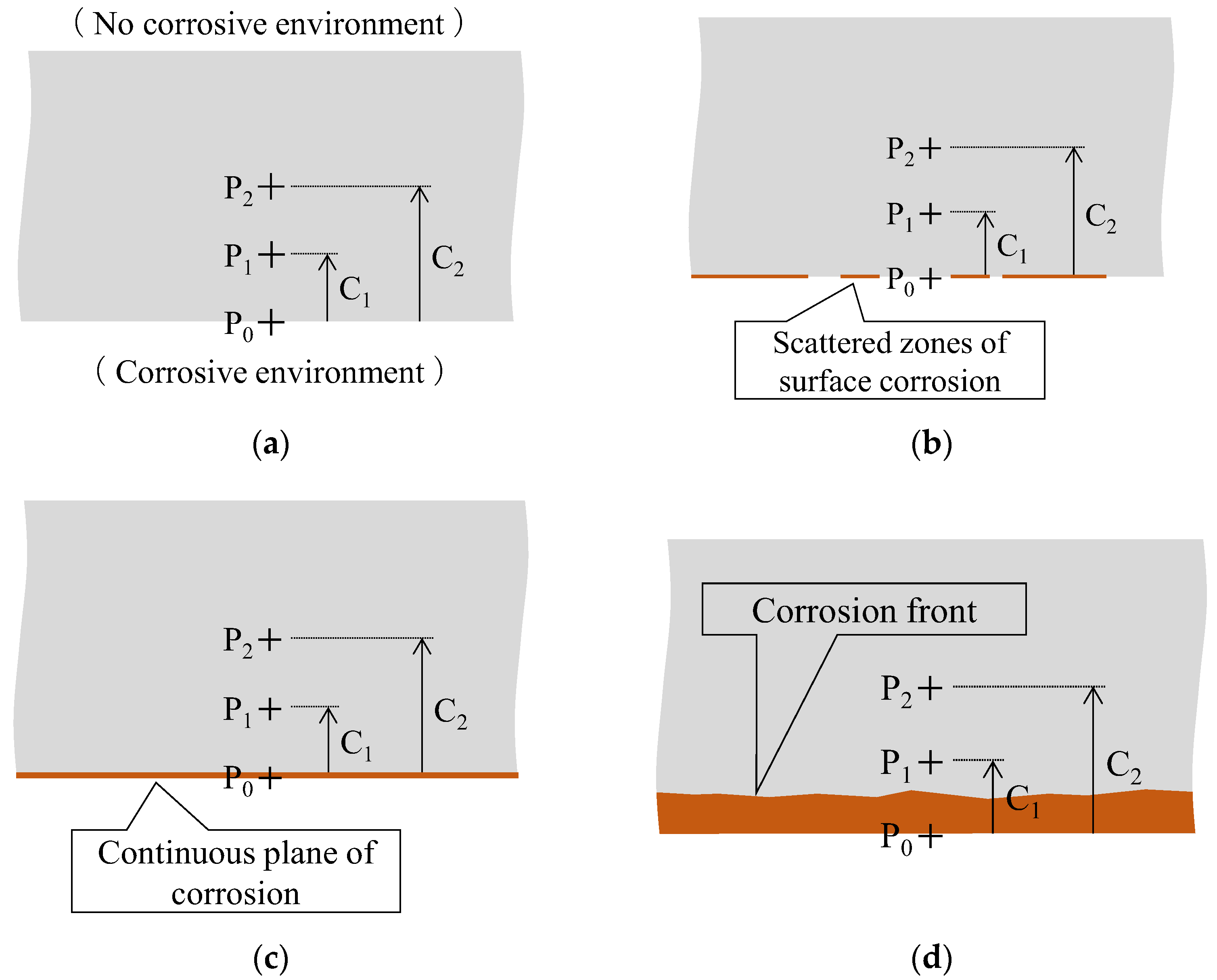 Sensors 24 00885 g011