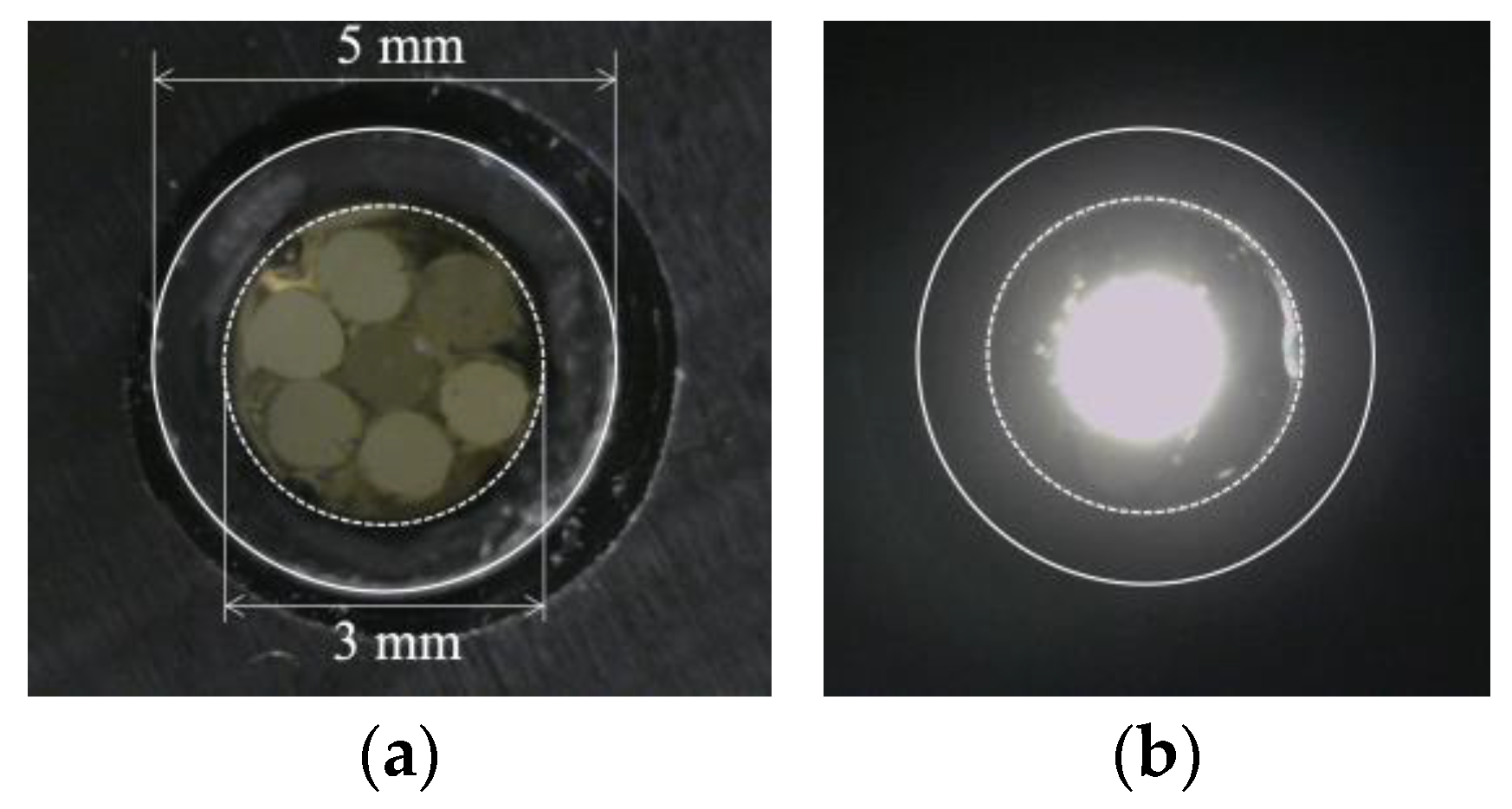 Sensors 24 00885 g016
