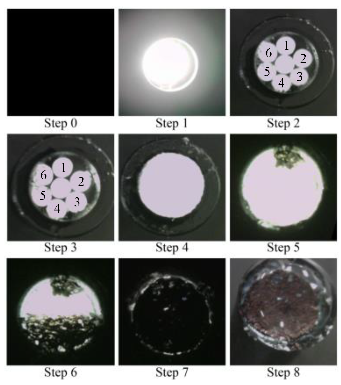 Sensors 24 00885 g020