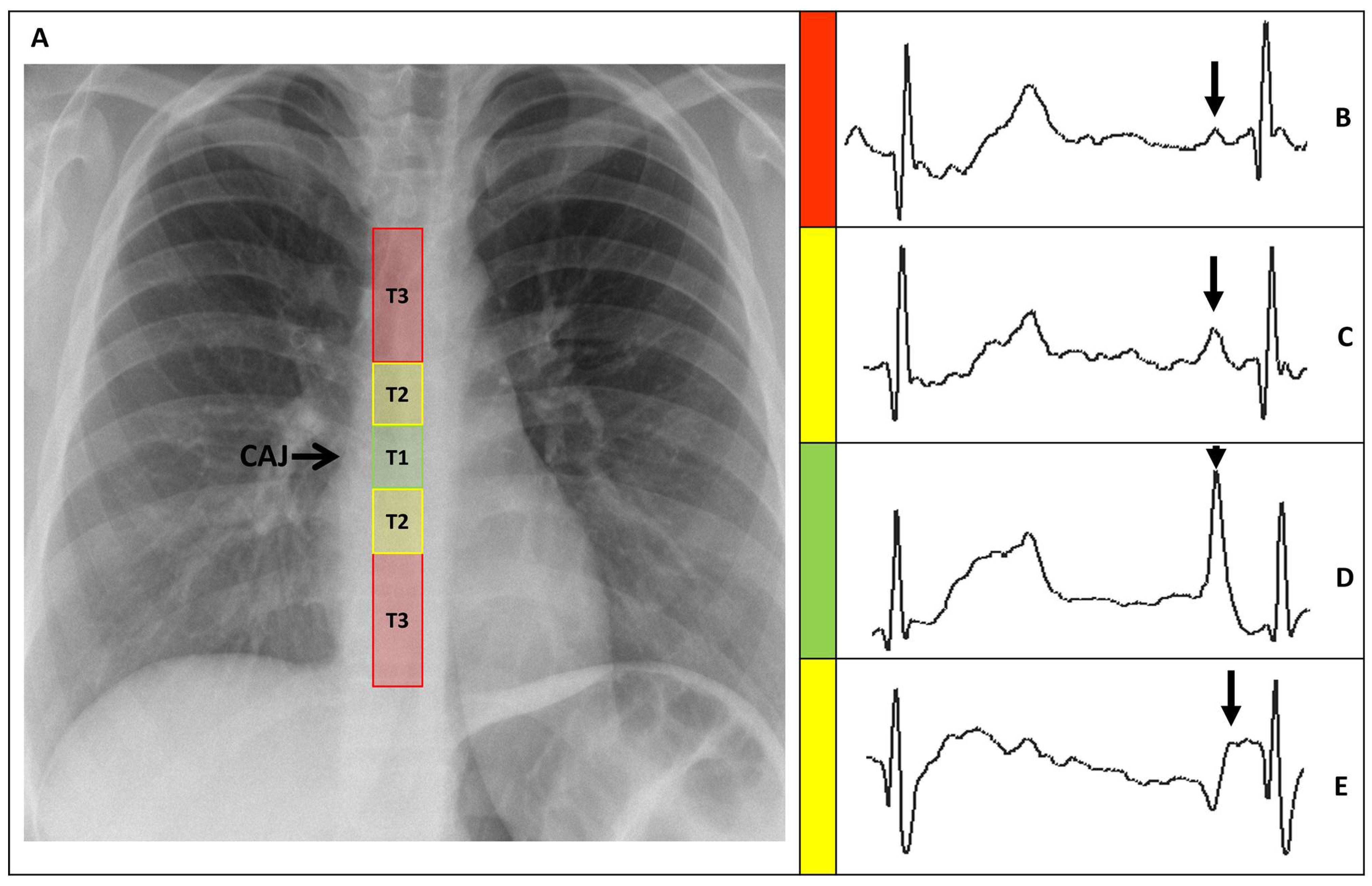 Sensors 24 00894 g003