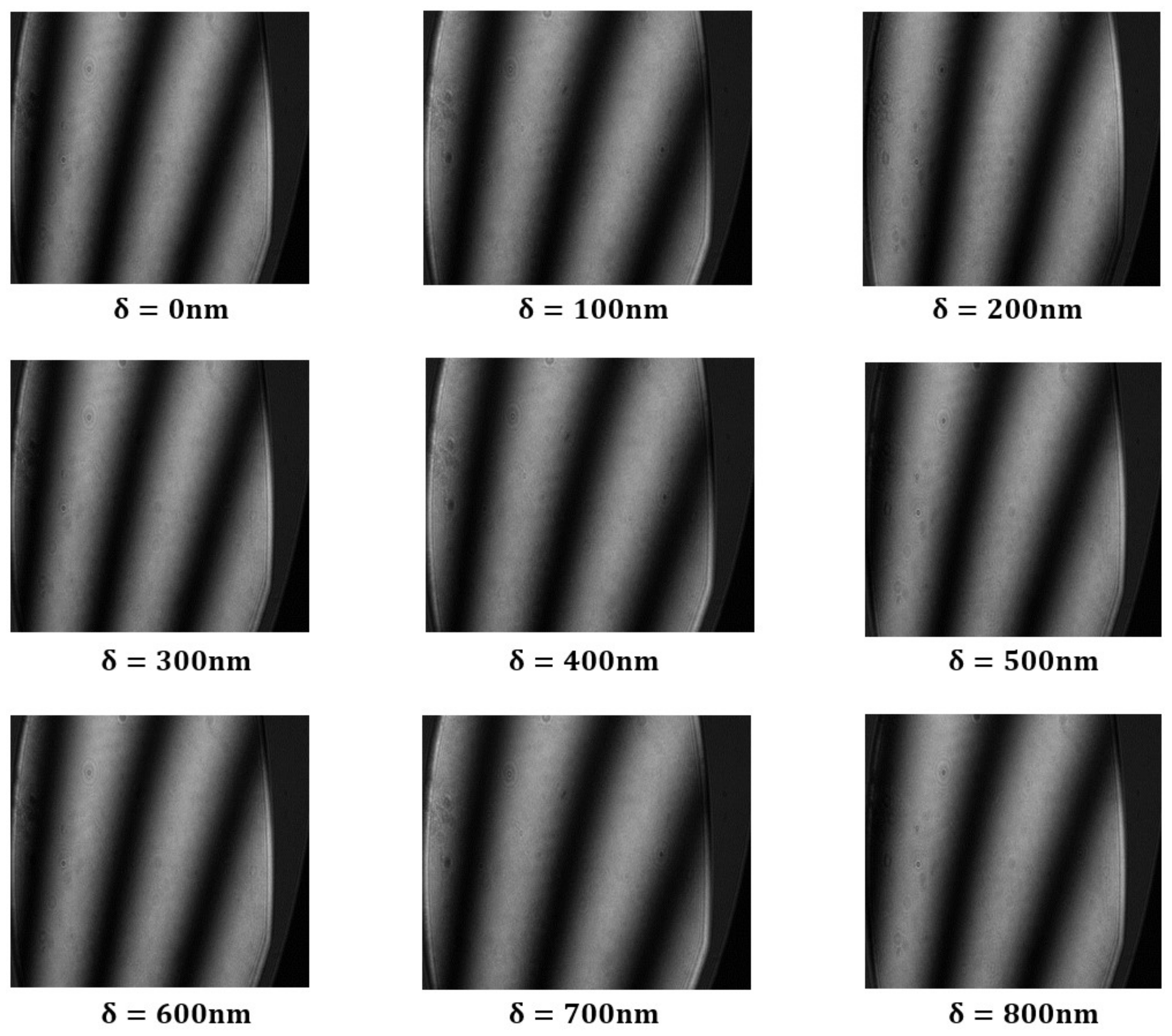 Sensors 24 00904 g014