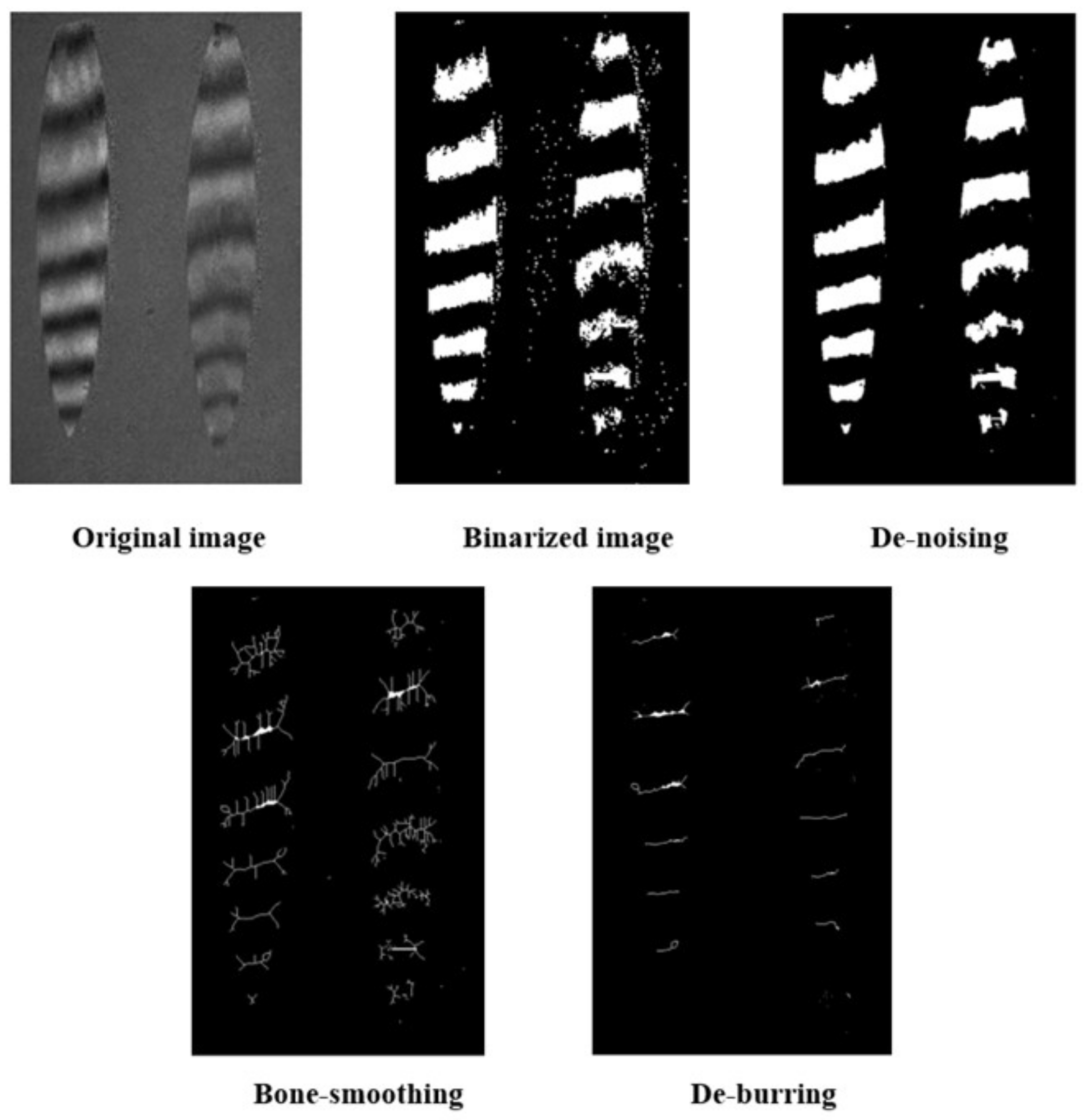 Sensors 24 00904 g018