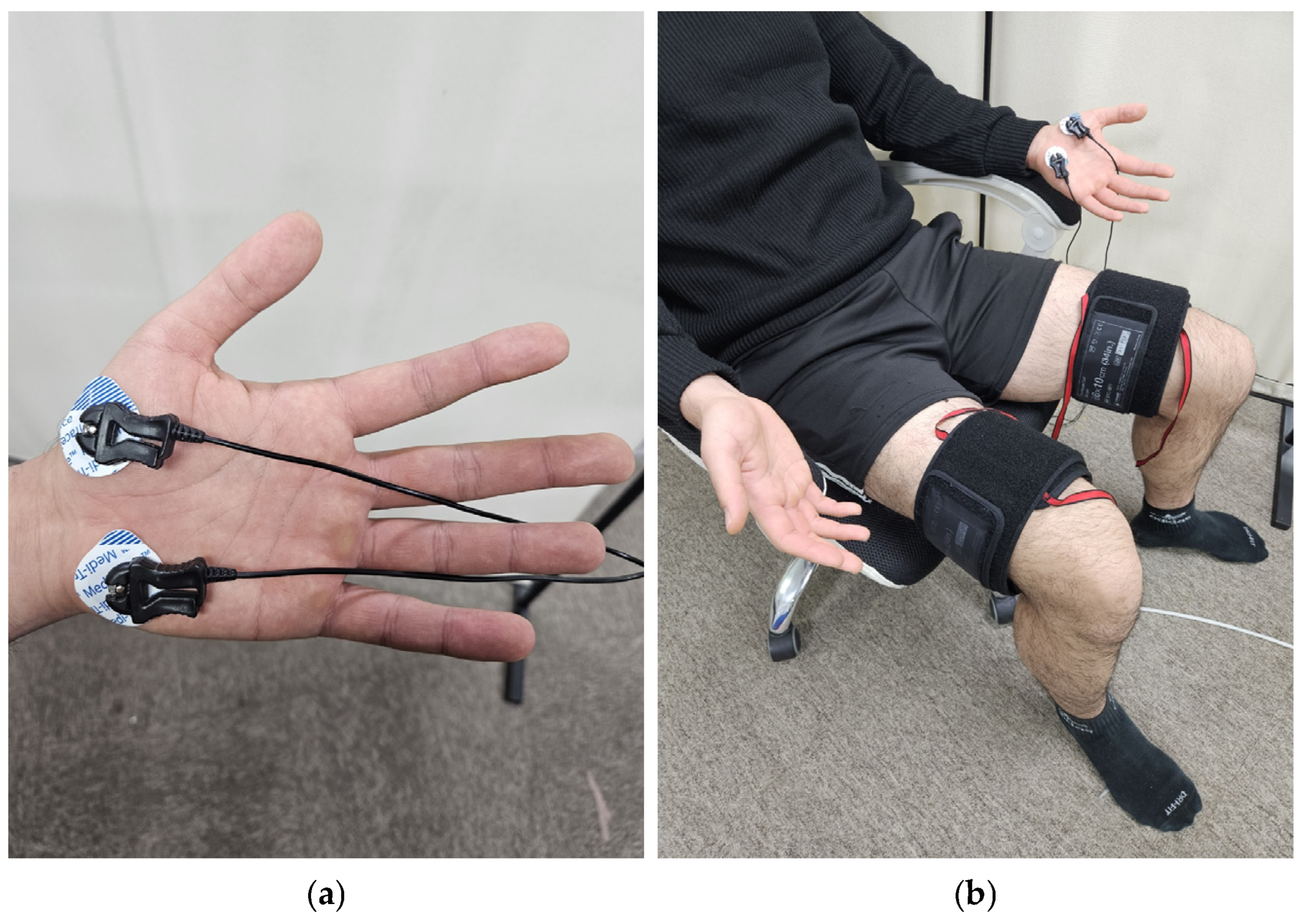 Sensors 24 00917 g001