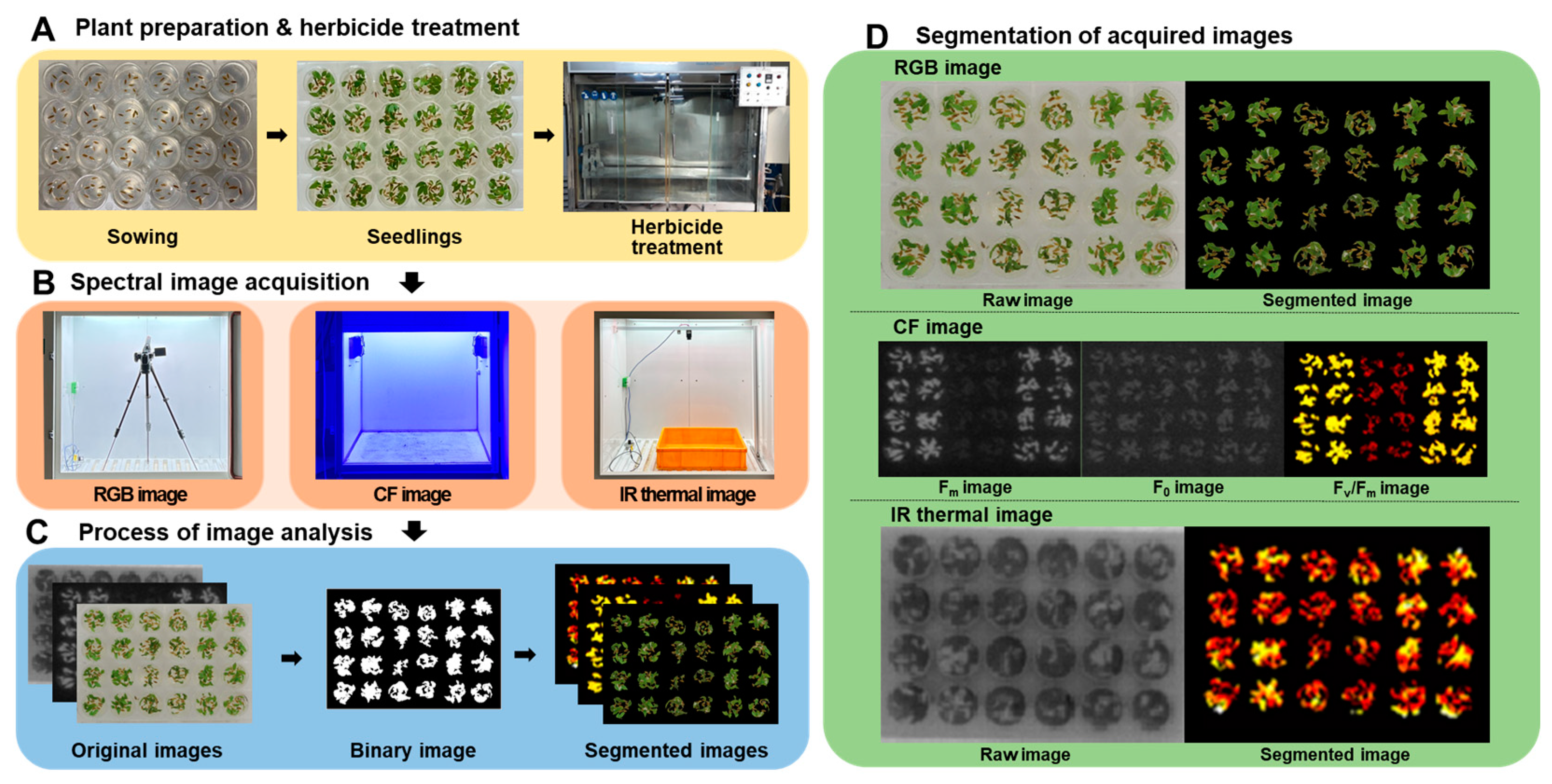 Sensors 24 00919 g001