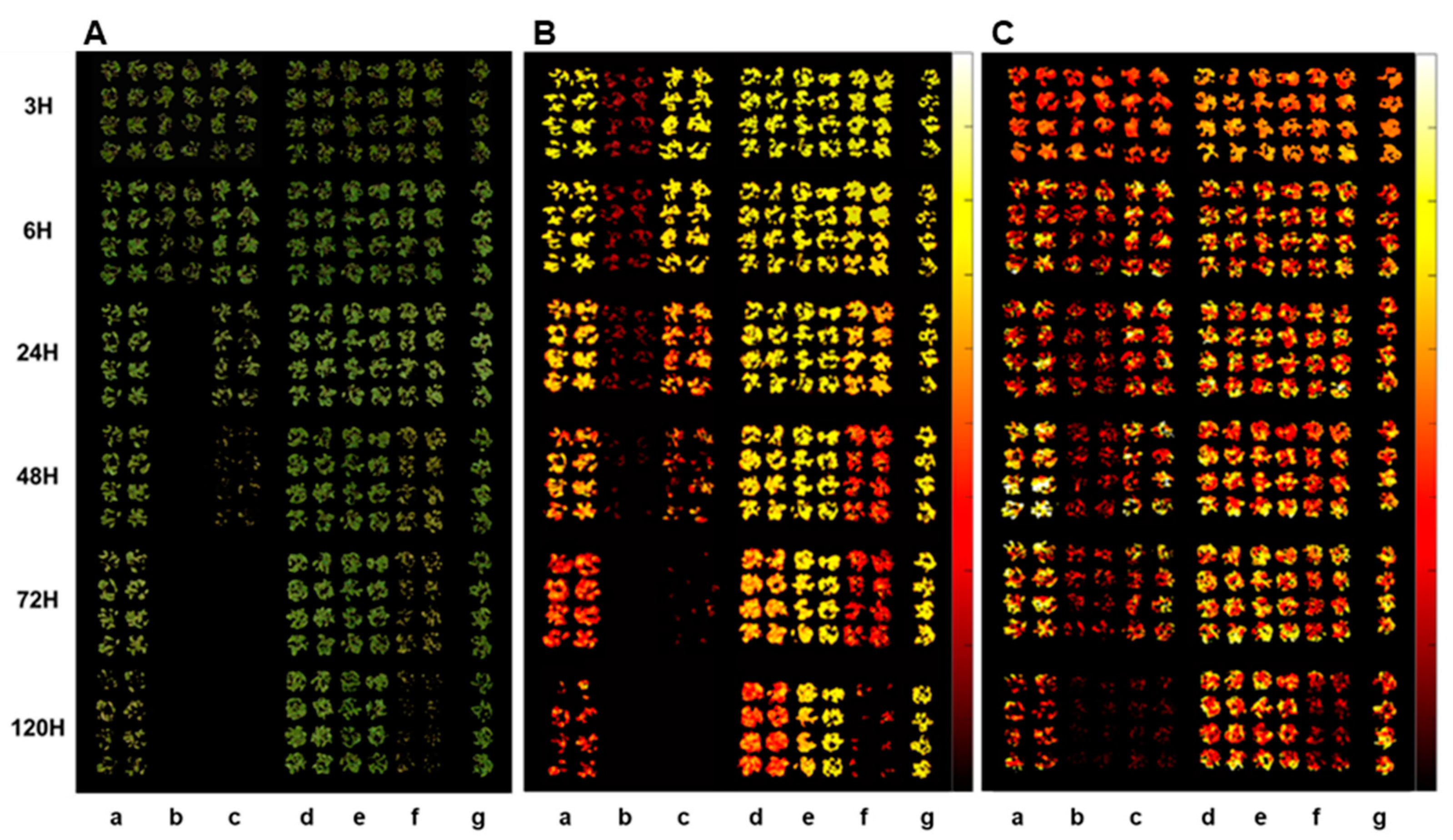 Sensors 24 00919 g002