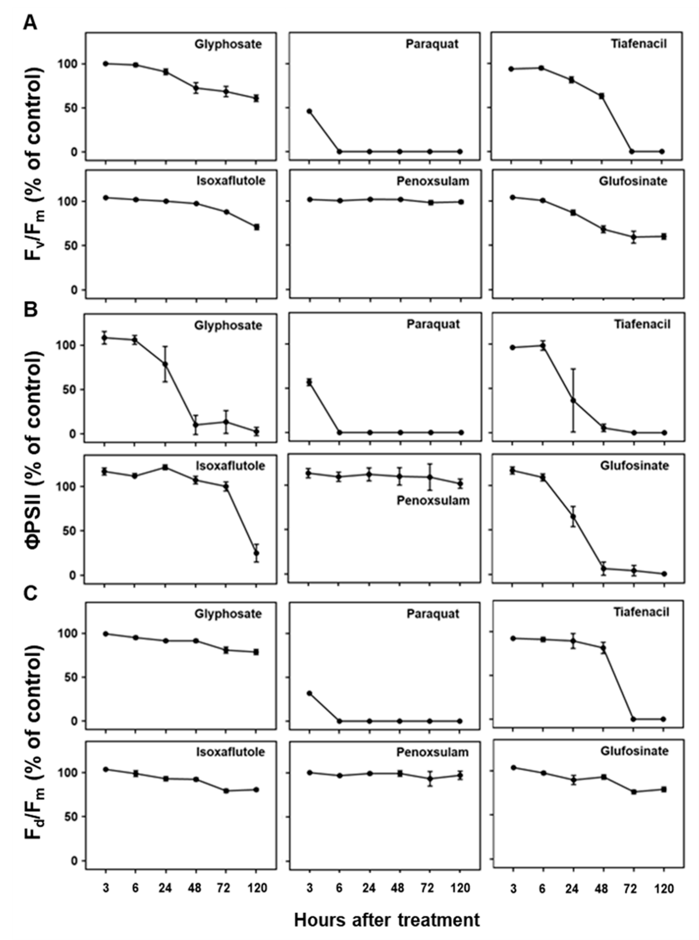 Sensors 24 00919 g004