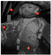 Sensors 24 00943 i001