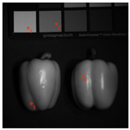 Sensors 24 00943 i002
