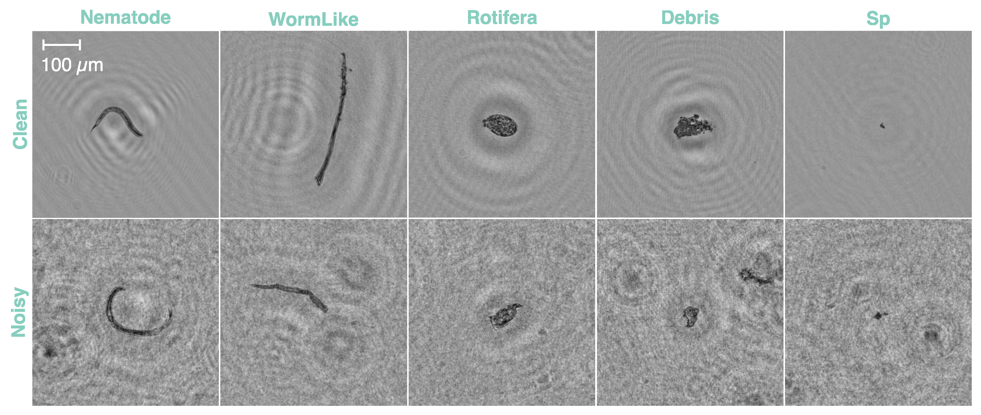 Sensors 24 00948 g001