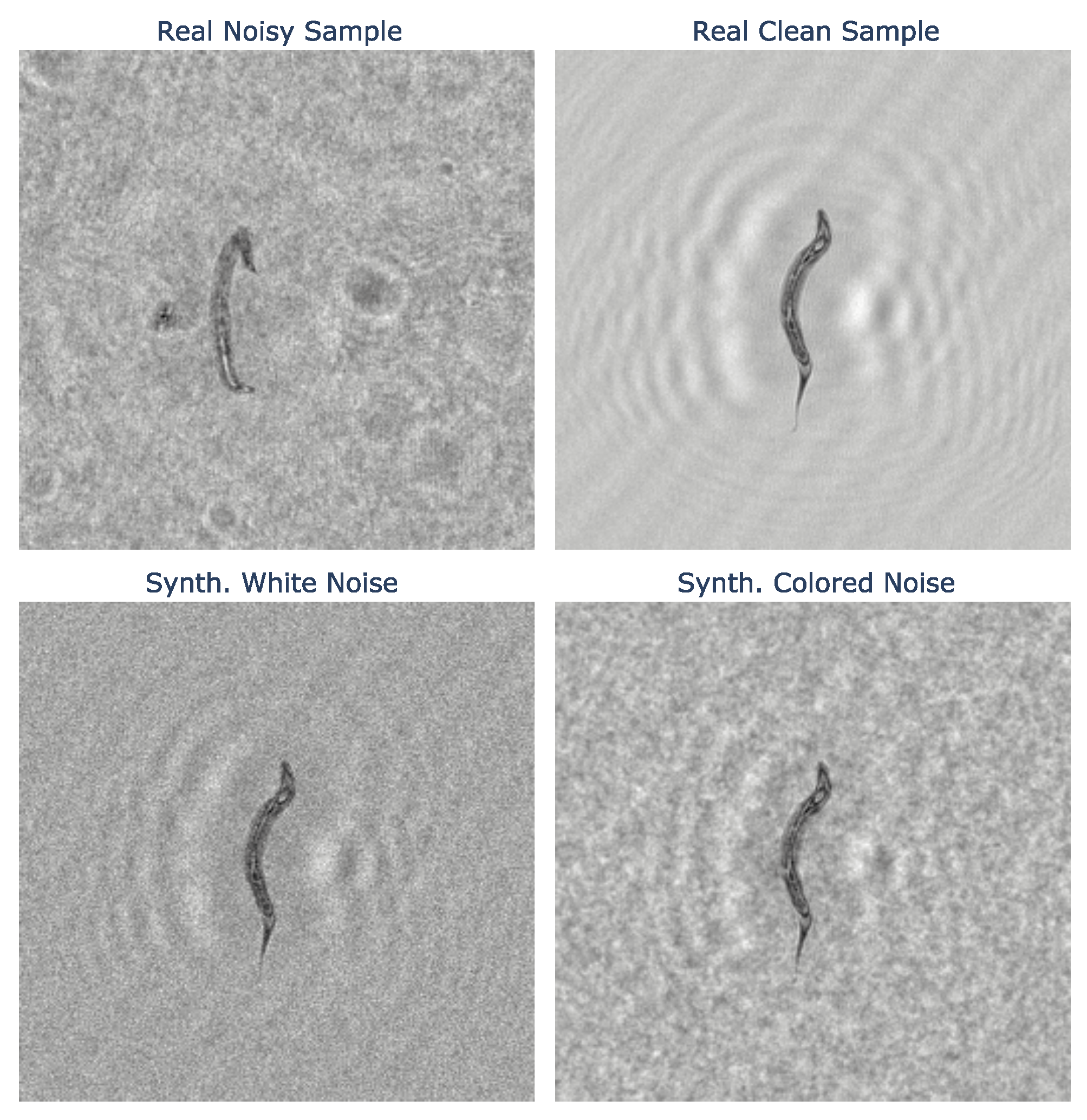 Sensors 24 00948 g006