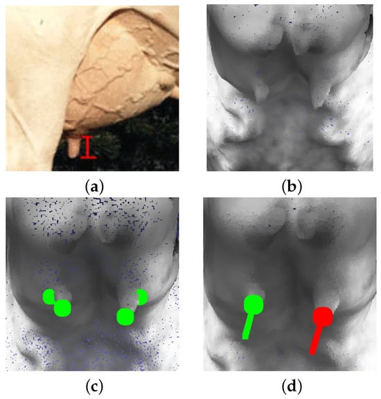 Sensors 24 00987 g011