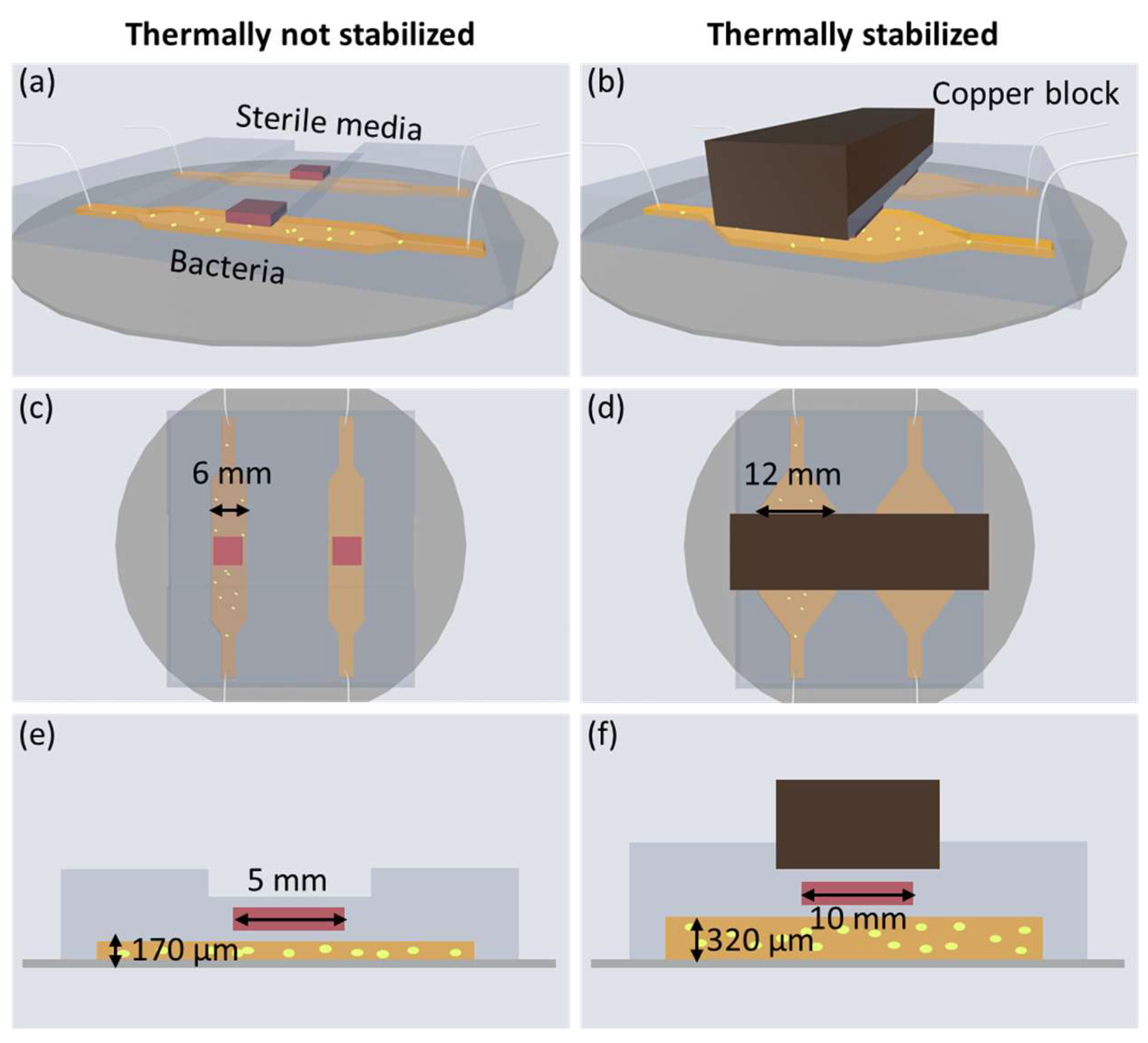 Sensors 24 01019 g002