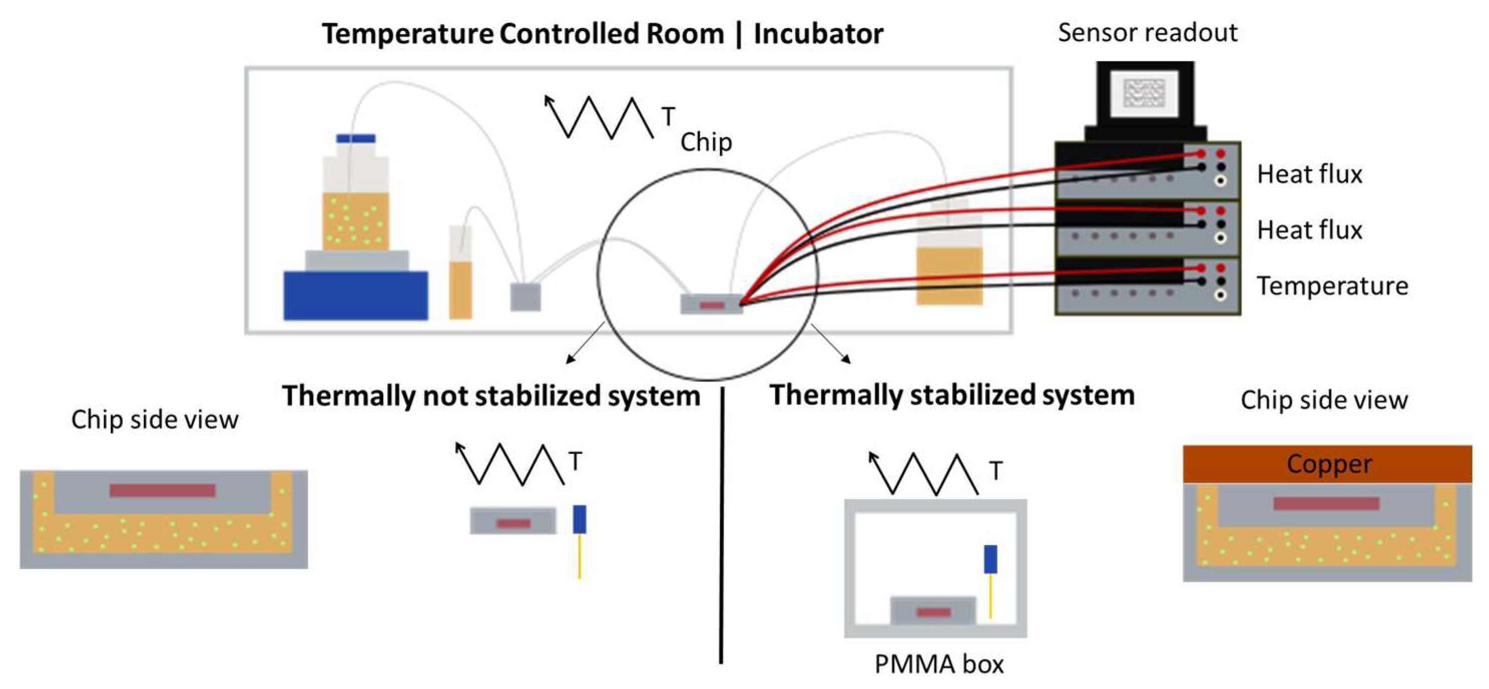 Sensors 24 01019 g003