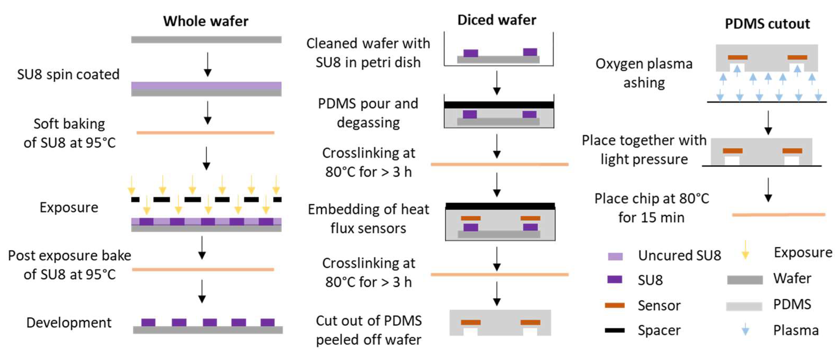 Sensors 24 01019 g004
