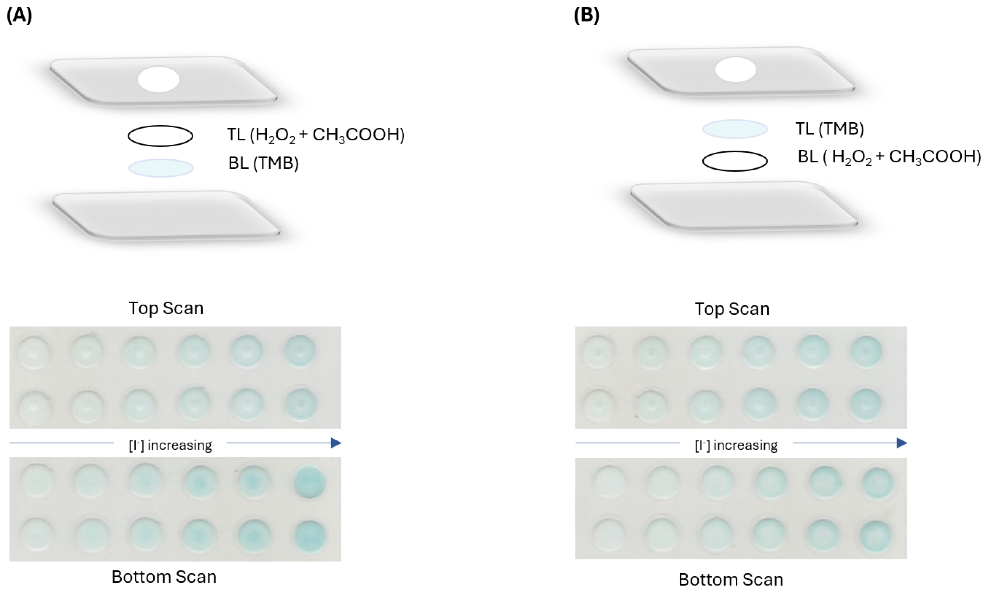 Sensors 24 01024 g004
