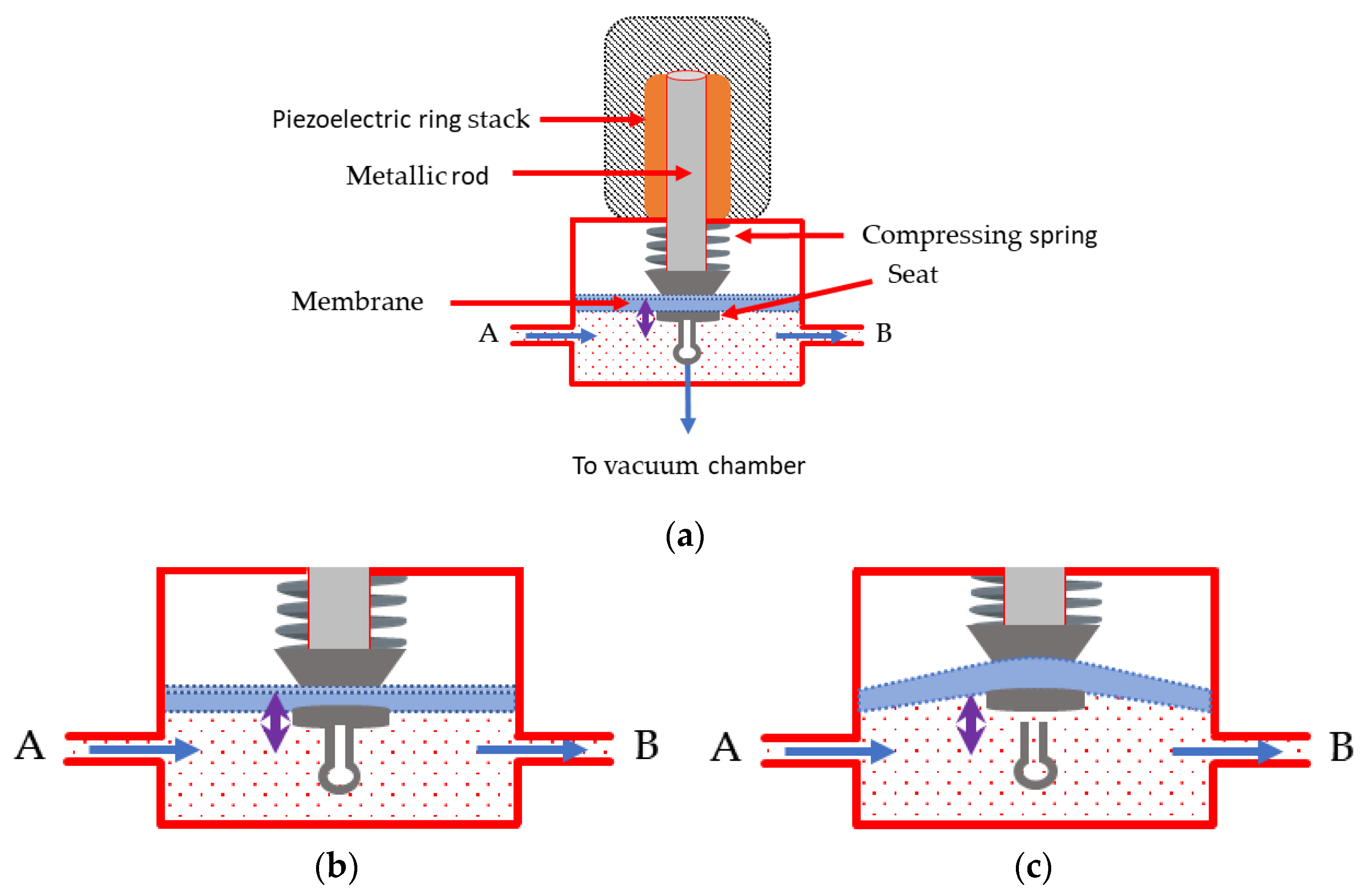 Sensors 24 01048 g002