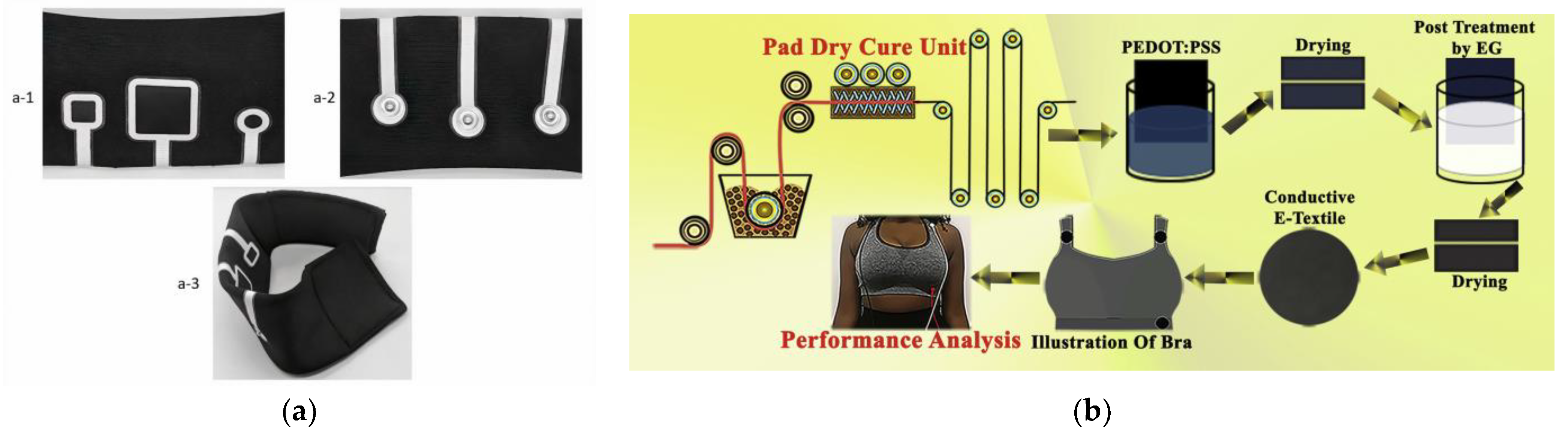 Sensors 24 01058 g003