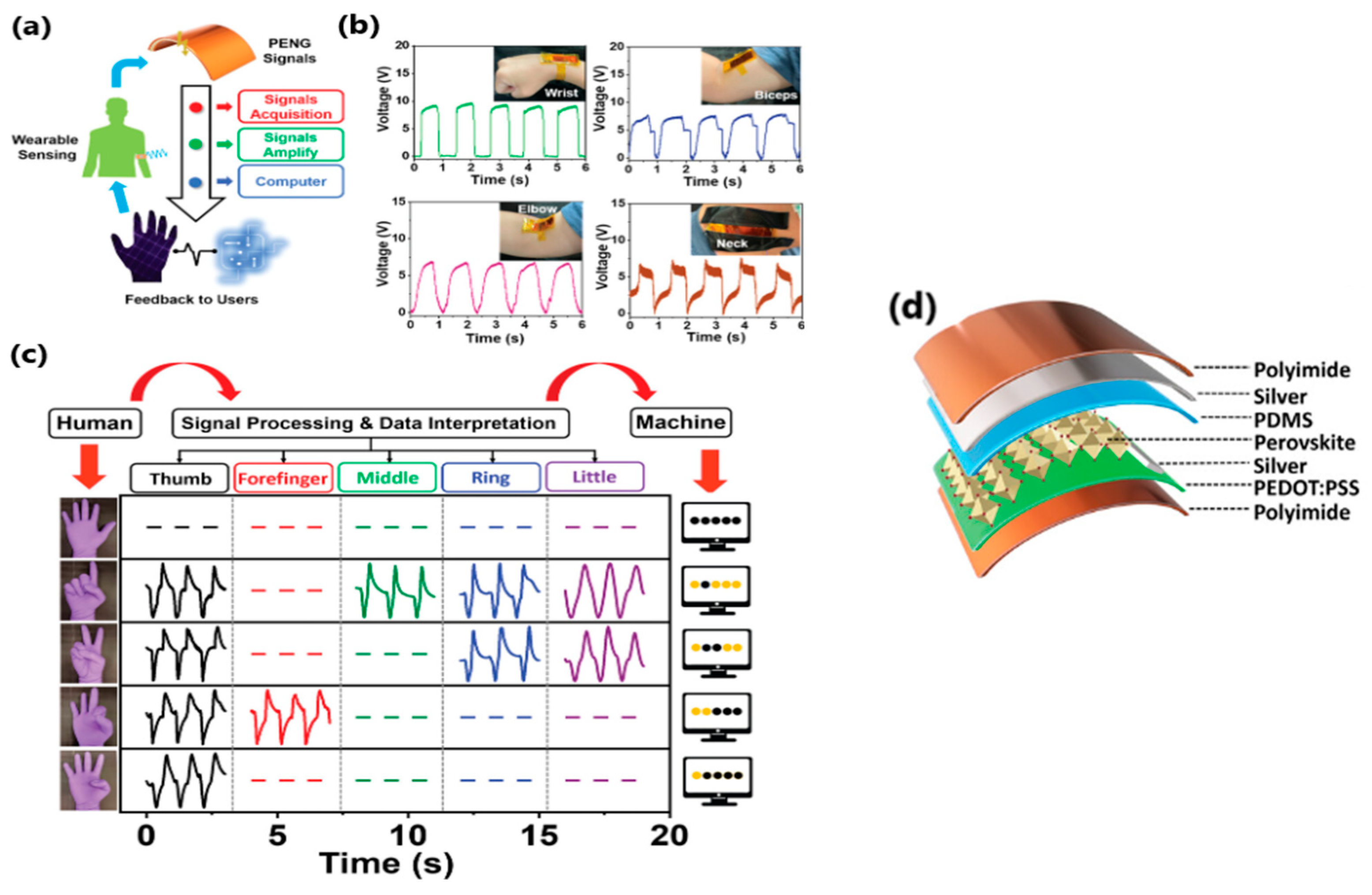 Sensors 24 01069 g013