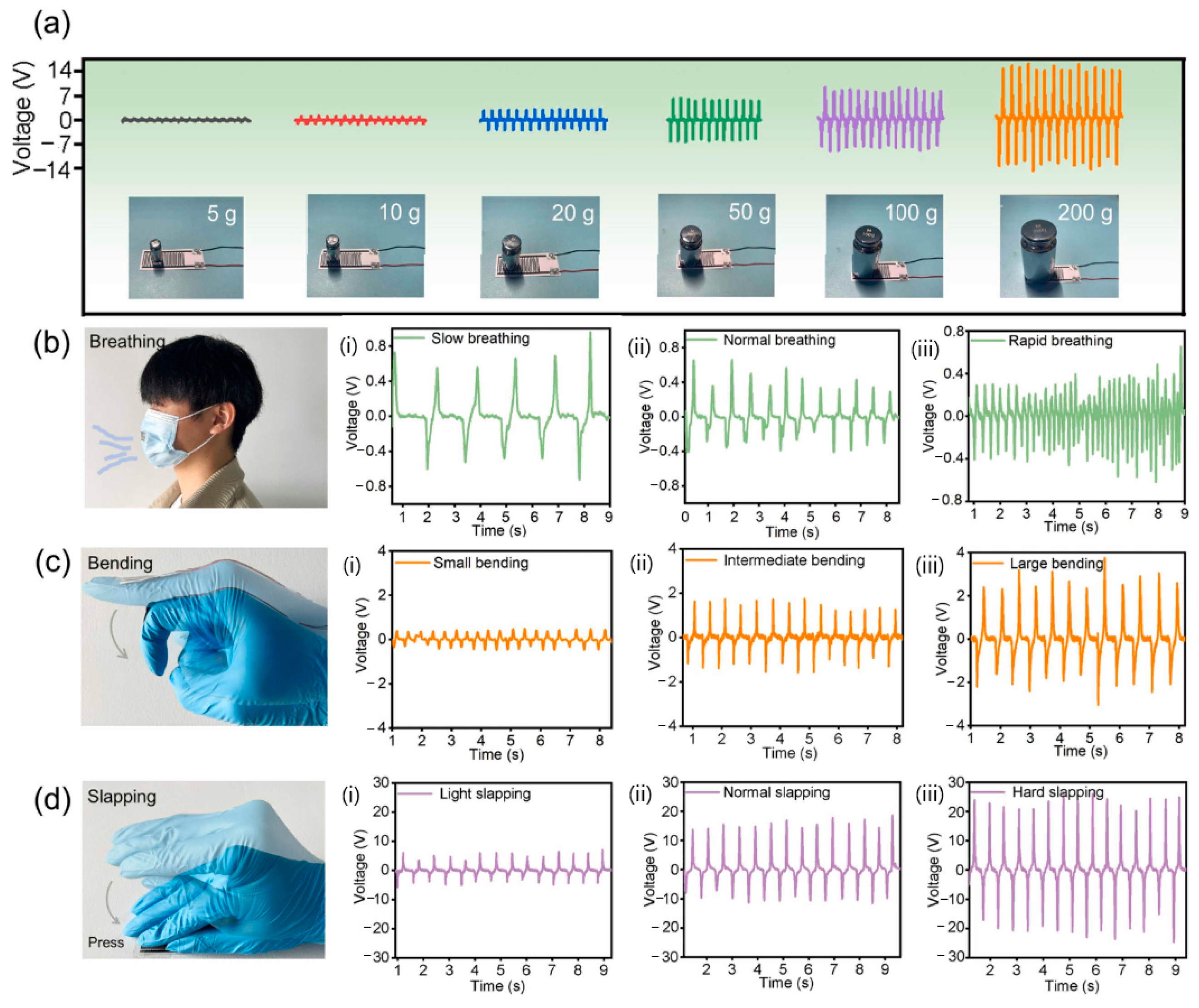 Sensors 24 01069 g014