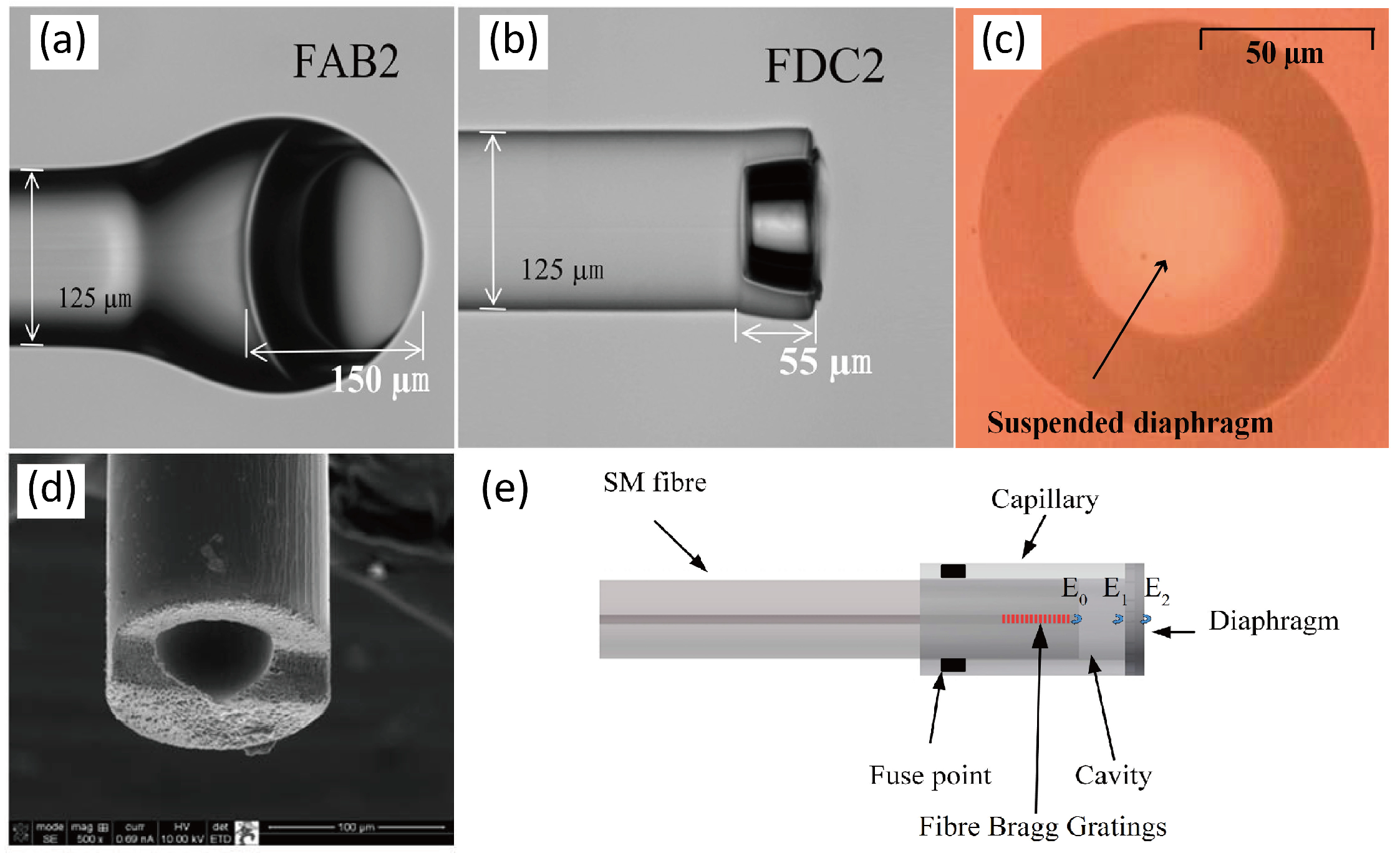 Sensors 24 01079 g002
