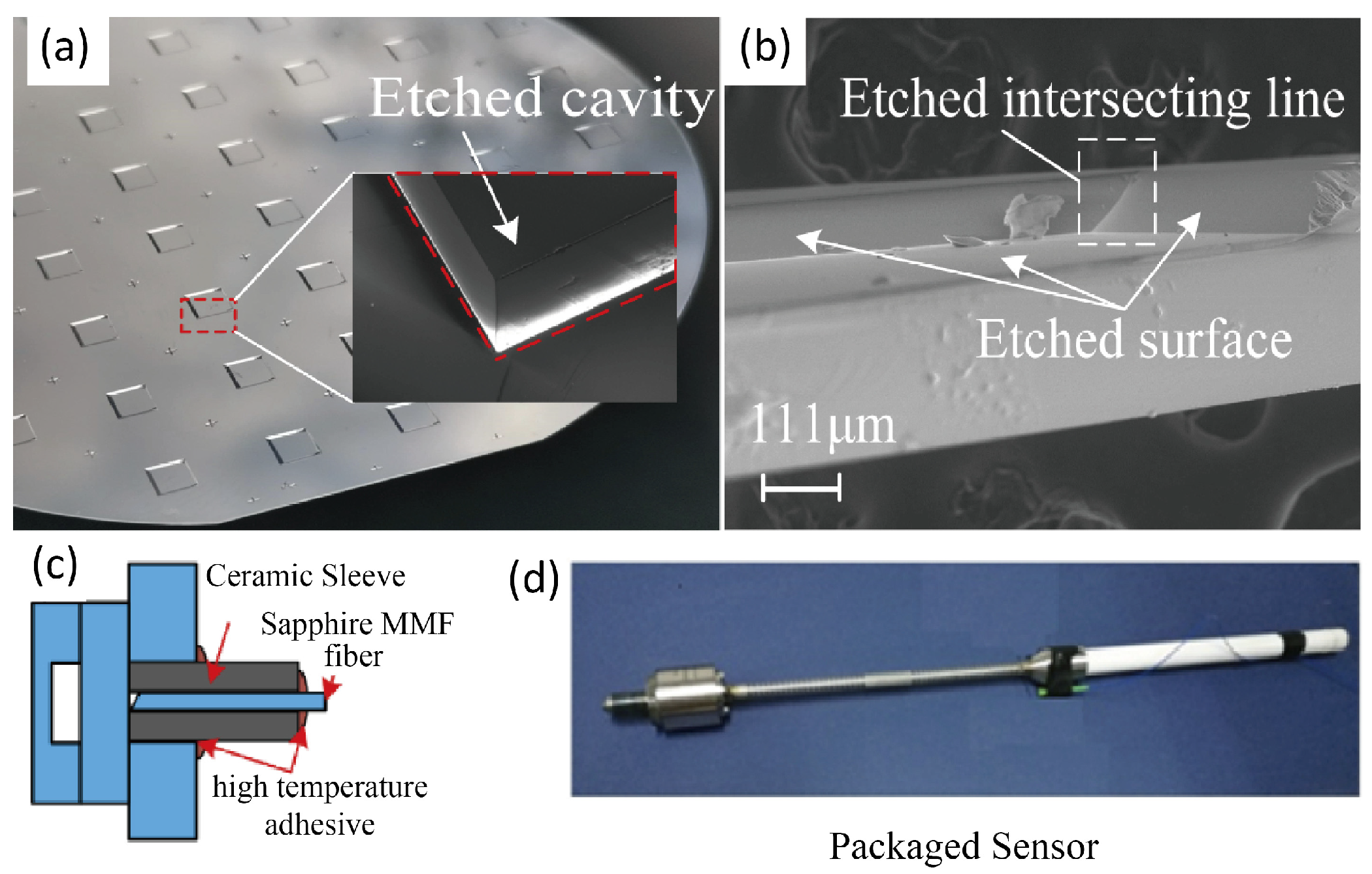 Sensors 24 01079 g004