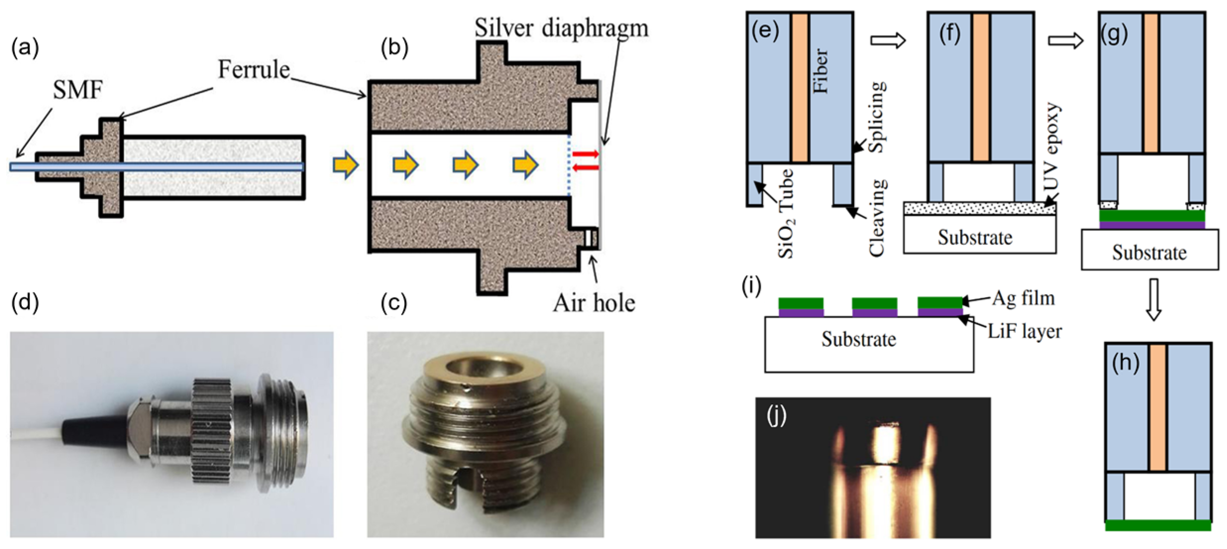 Sensors 24 01079 g005
